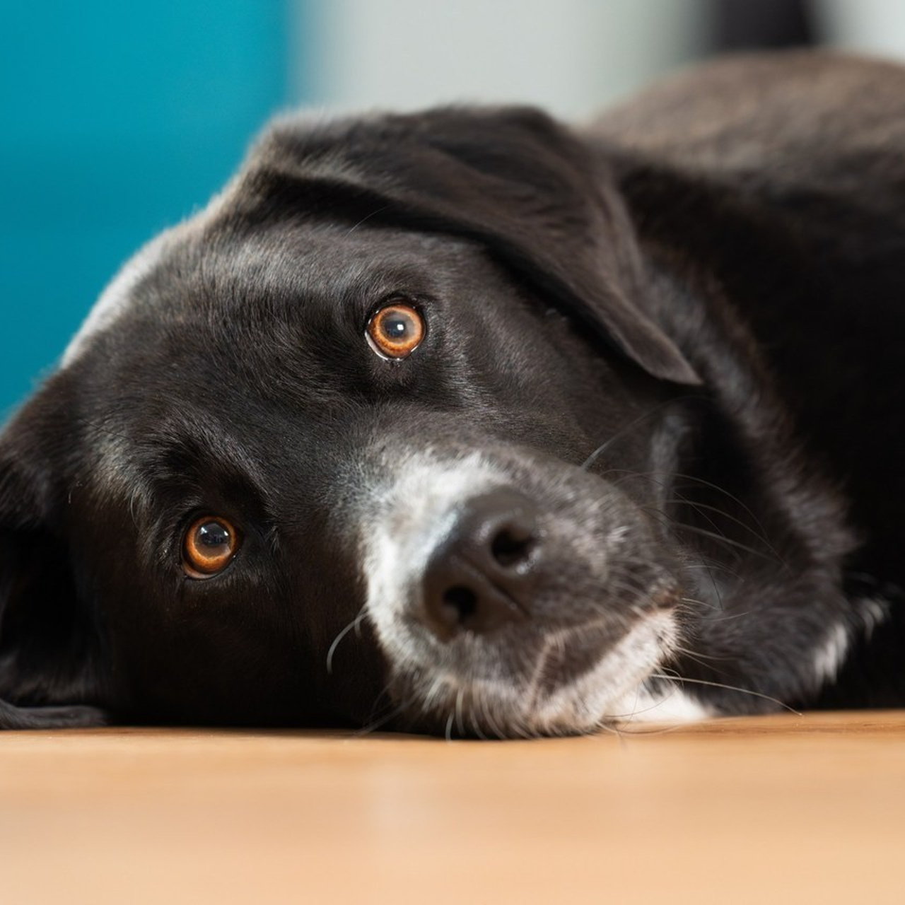 Referenzen. Thorben Ihler - Dein Fotograf aus Emden