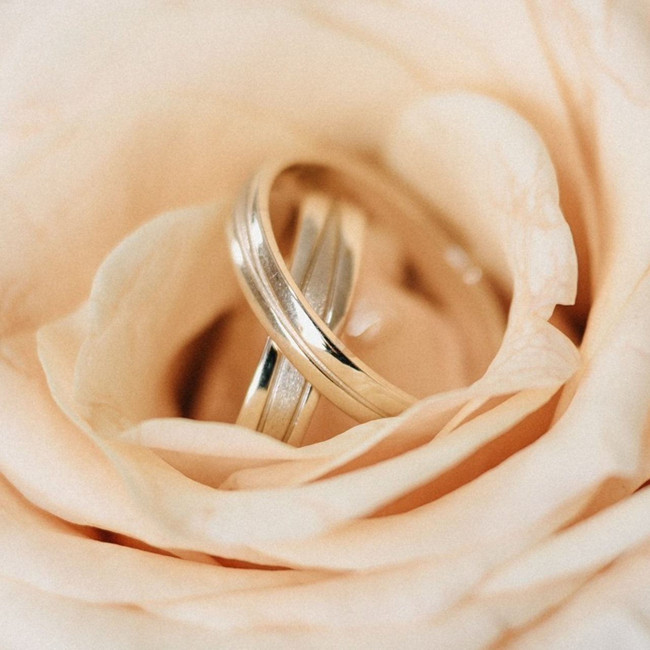 Referenzen. Thorben Ihler - Dein Fotograf aus Emden