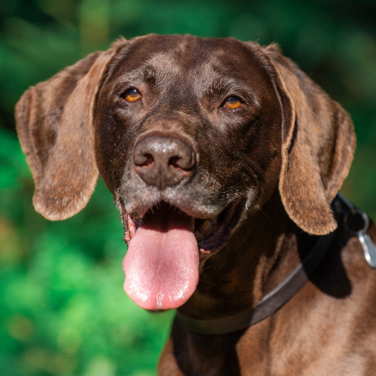 Referenzen. Thorben Ihler - Dein Fotograf aus Emden