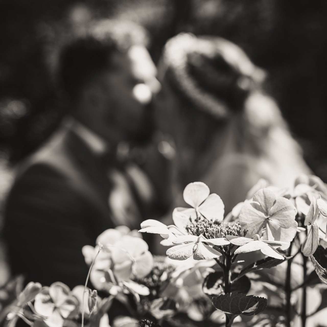 Referenzen. Thorben Ihler - Dein Fotograf aus Emden
