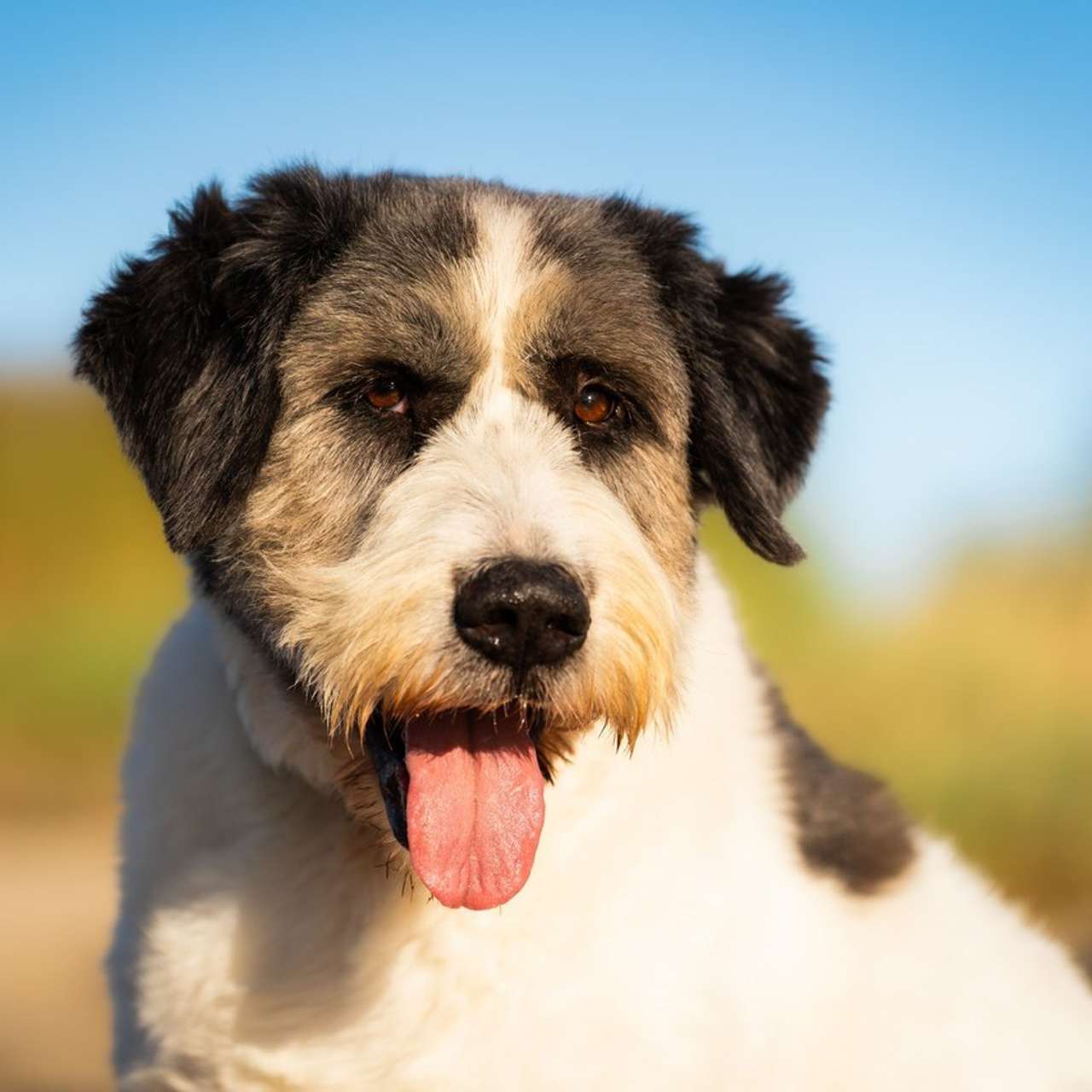 Referenzen. Thorben Ihler - Dein Fotograf aus Emden