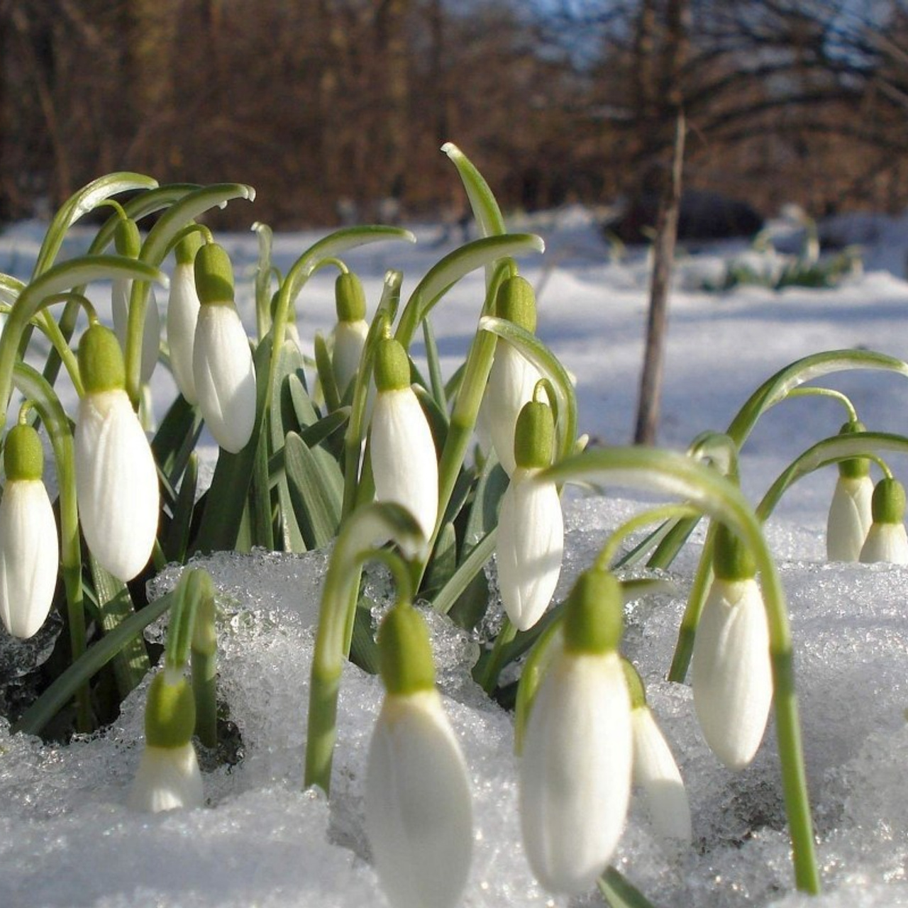 Feedbacks. ✔️ Servicii foto si video in Chisinau Moldova - Cinematic.md