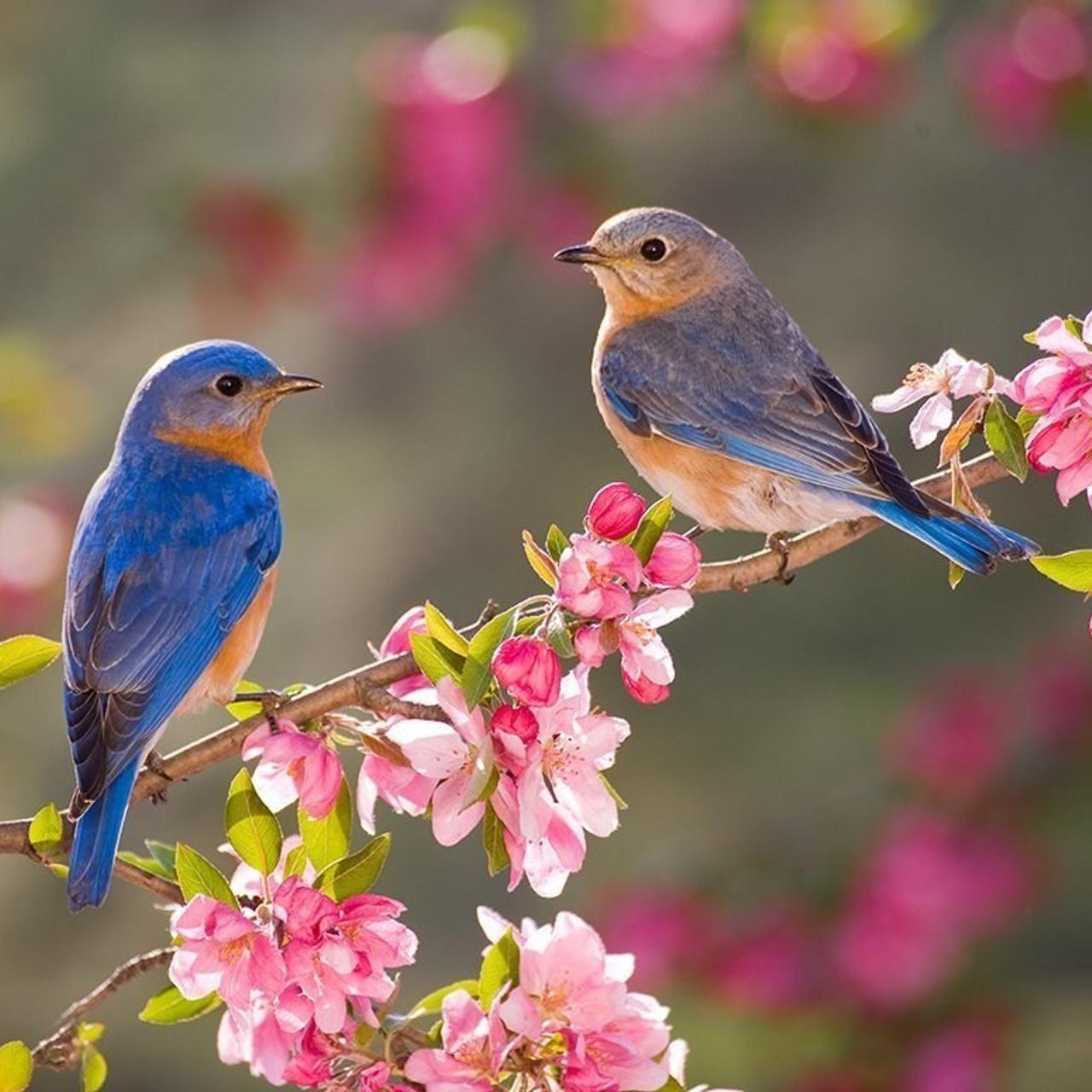 Feedbacks. ✔️ Servicii foto si video in Chisinau Moldova - Cinematic.md