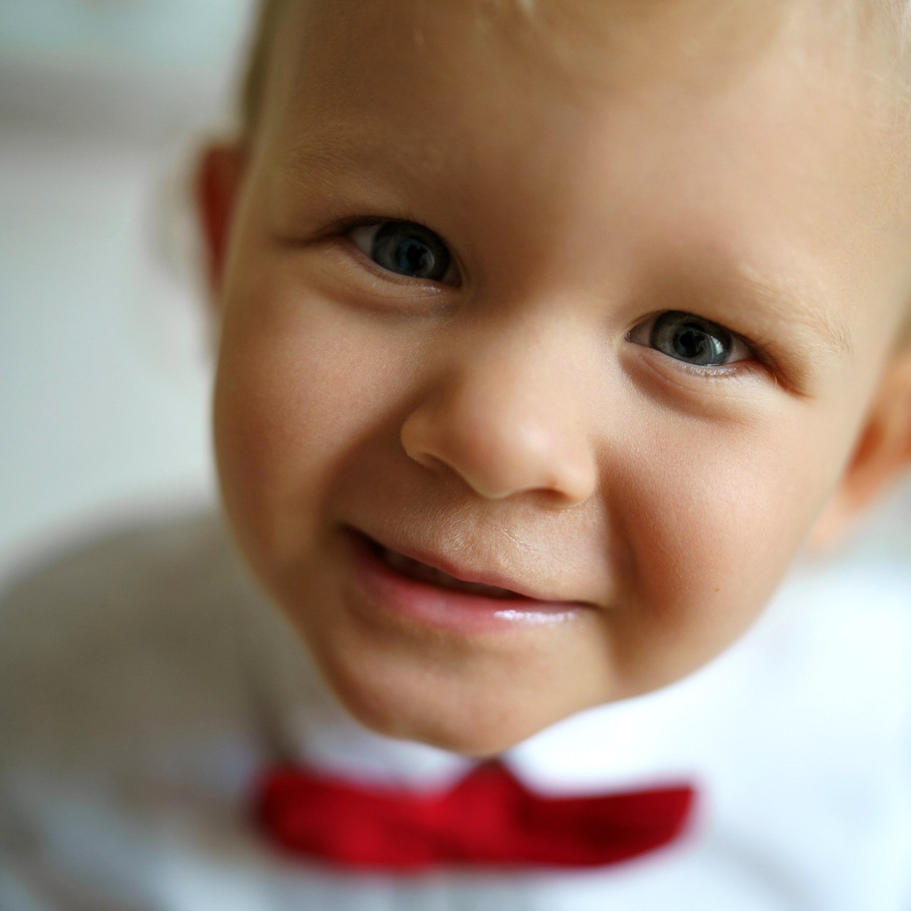 Testimonials. Photos by Vechkaeva