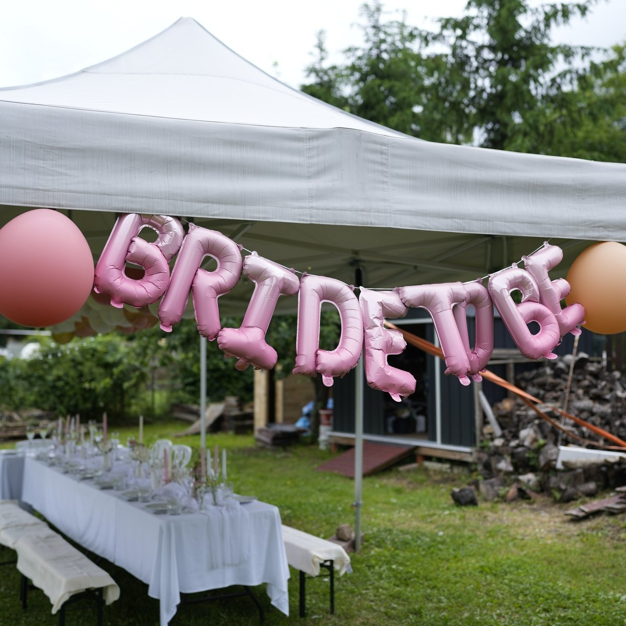 Reference. Fotograf Teplice // Alexandra Ribola