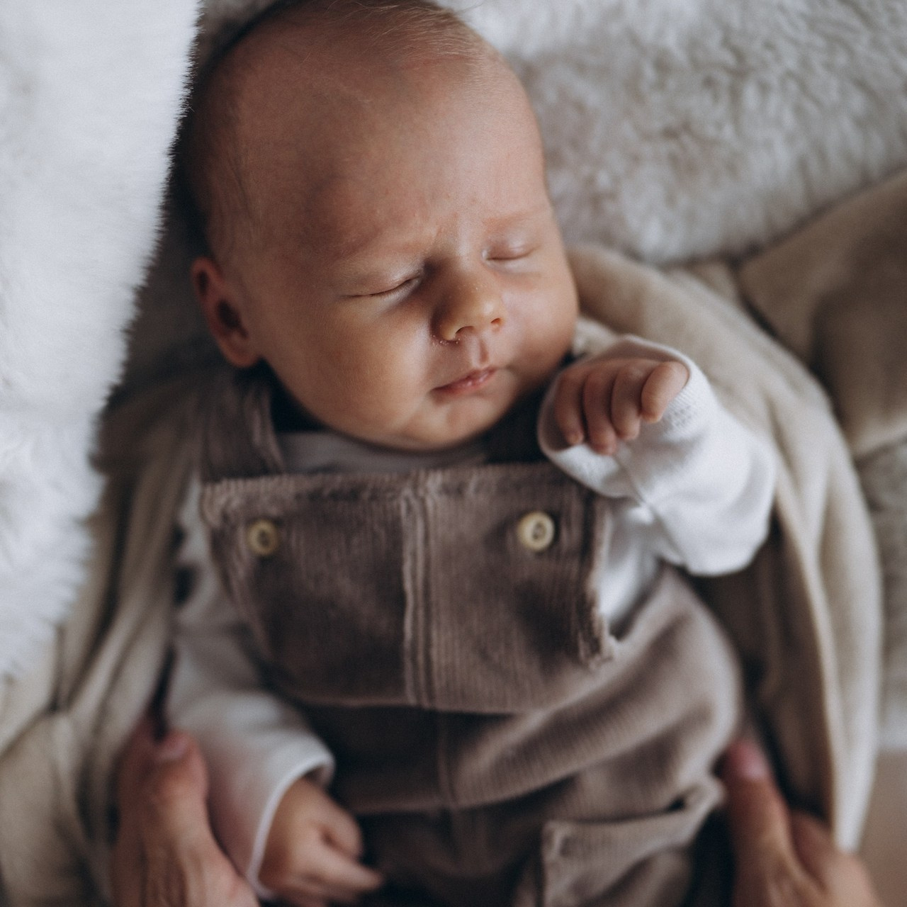 Reference. Fotograf Teplice // Alexandra Ribola