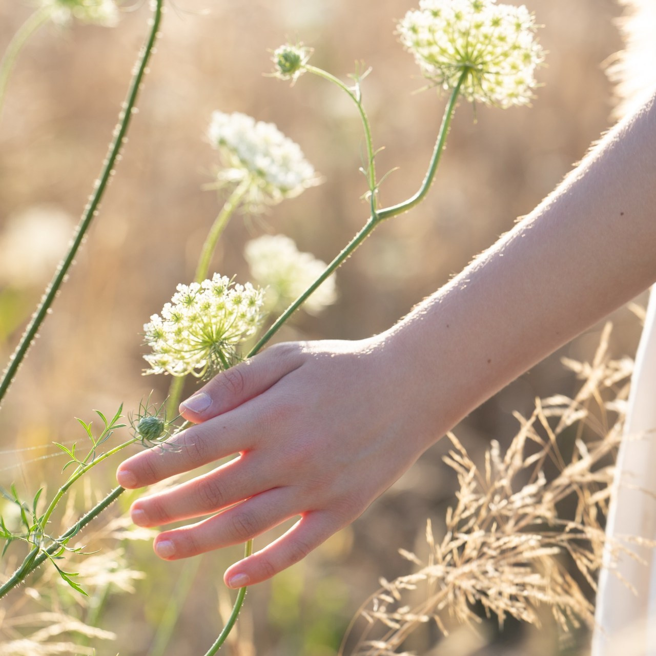 Referenzen. Kinder und Familienfotografie Wittlich und Trier Umgebung