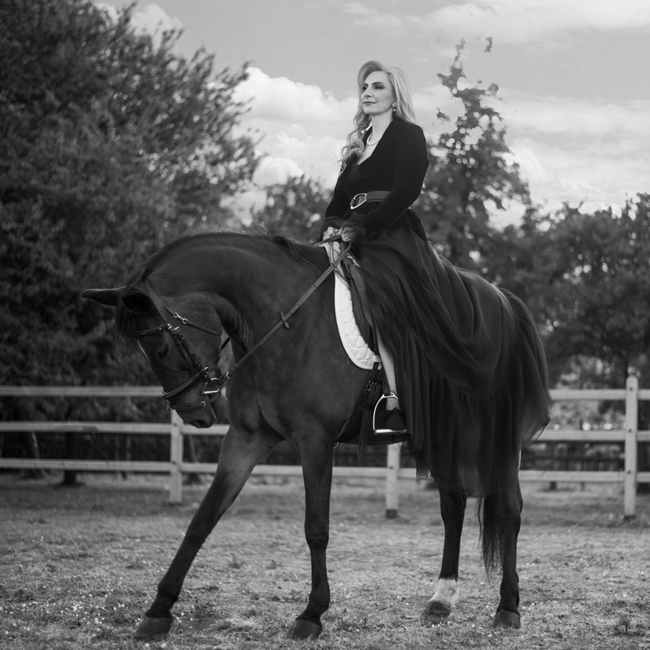 Feedbacks. Professional Photograher, Antwerpen/Belgium