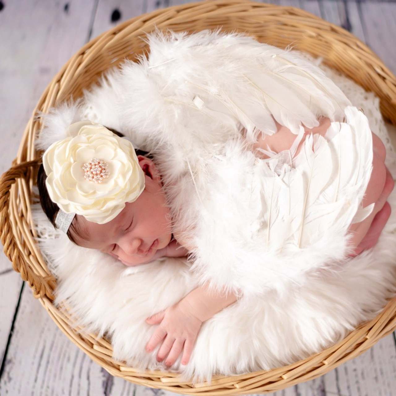 Feedbacks. Professional Photograher, Antwerpen/Belgium