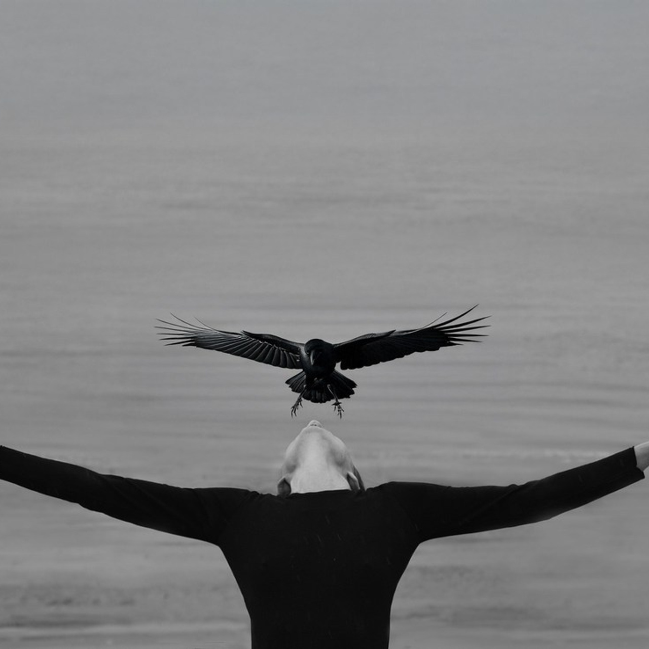 Feedbacks. Professional Photograher, Antwerpen/Belgium