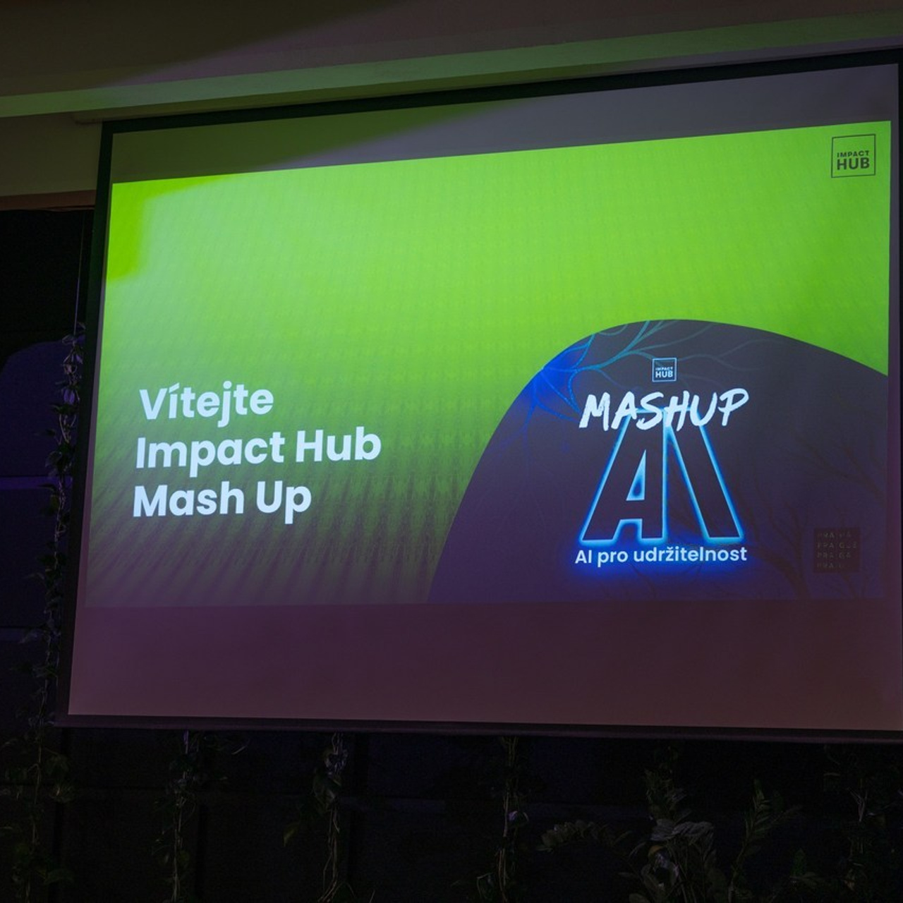 Recenze. Dana Lišková — Empatická fotografka | Introspektivní umělkyně | Neurodivergentní koučka| Zakladatelka Artepy.cz