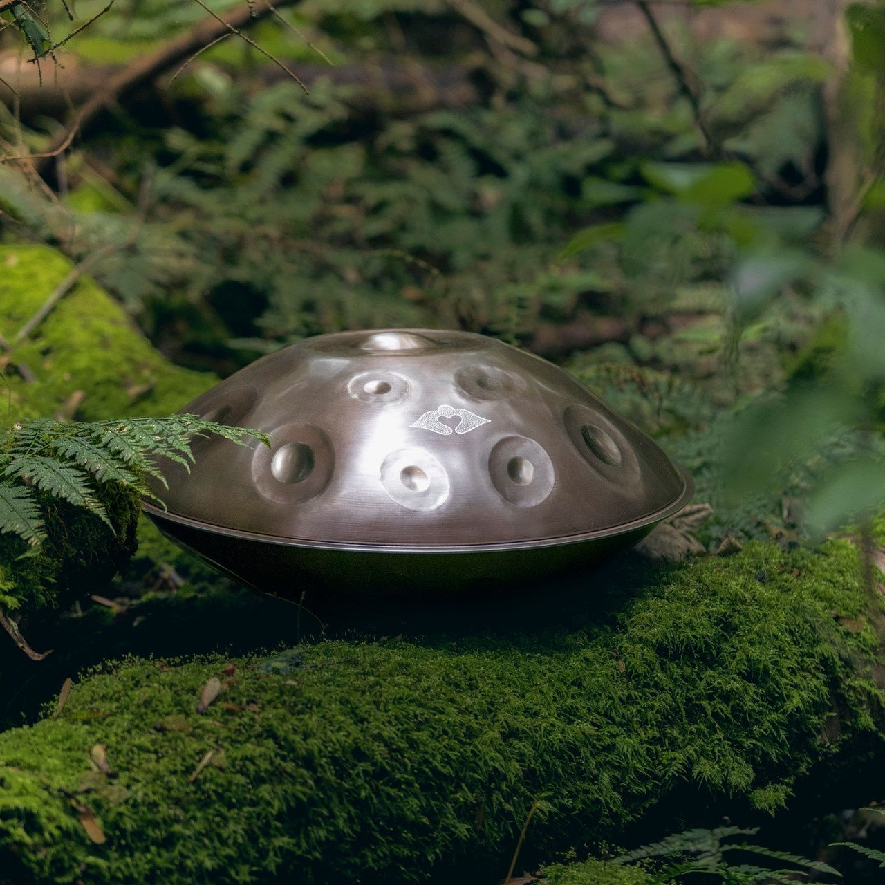 Recenze. Dana Lišková — Empatická fotografka | Introspektivní umělkyně | Neurodivergentní koučka| Zakladatelka Artepy.cz