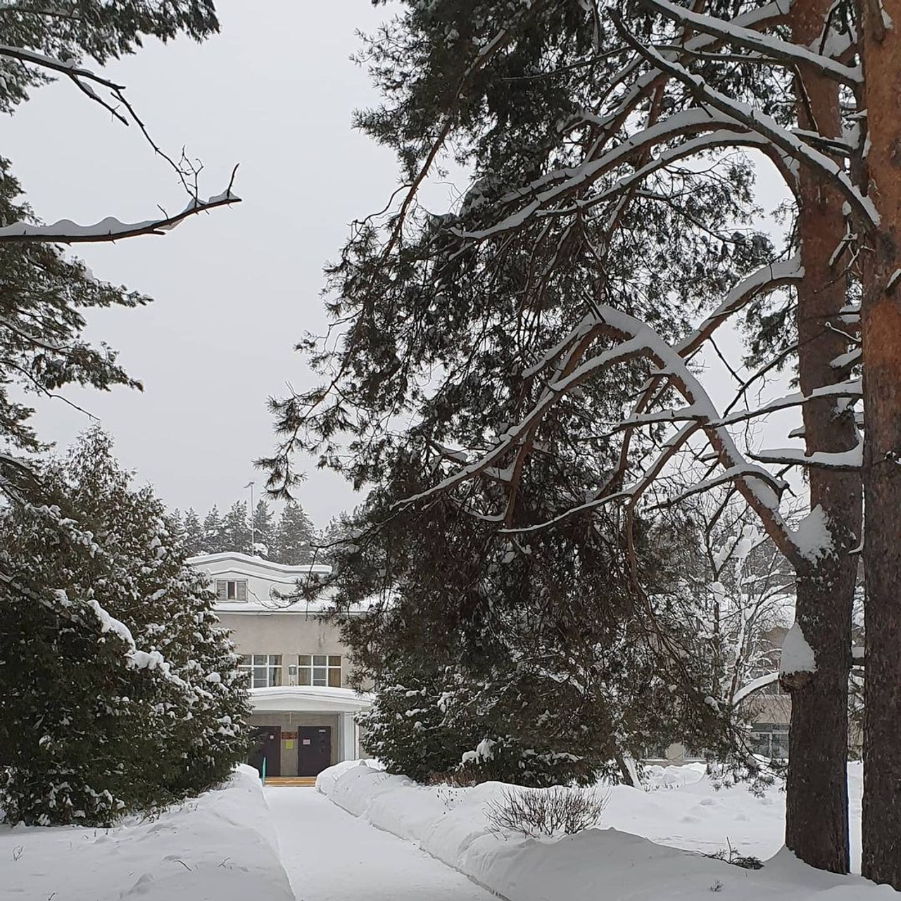 Отзвыв Эльвиры Сабировой на риртрит выходного дня «42 часа тишины». Change4Life: медитации, выгорание, мягкие навыки, ретриты