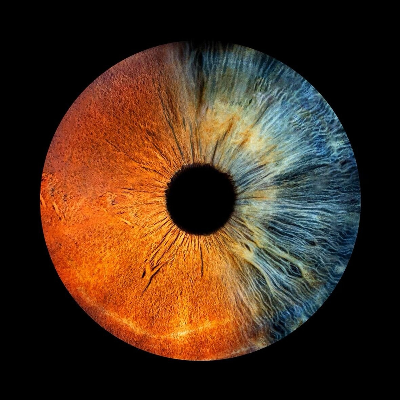 Prices. Hi, my name is Eric T and I am Iris photographer