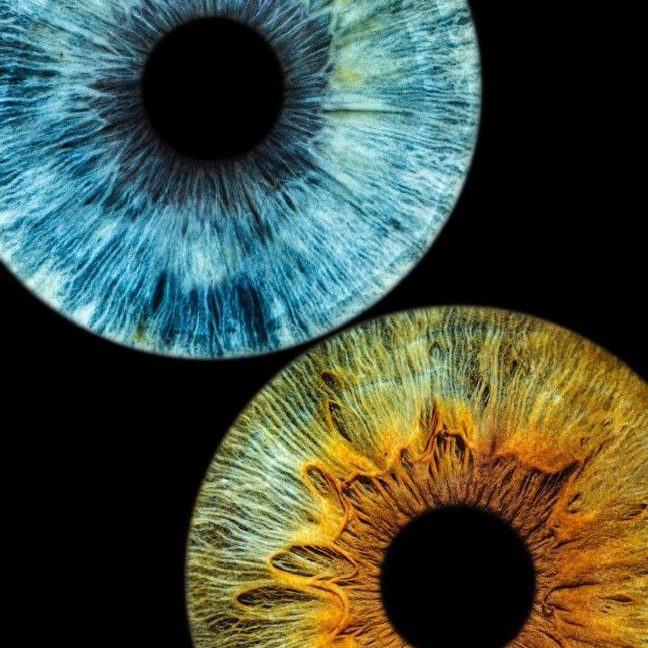 Prices. Hi, my name is Eric T and I am Iris photographer