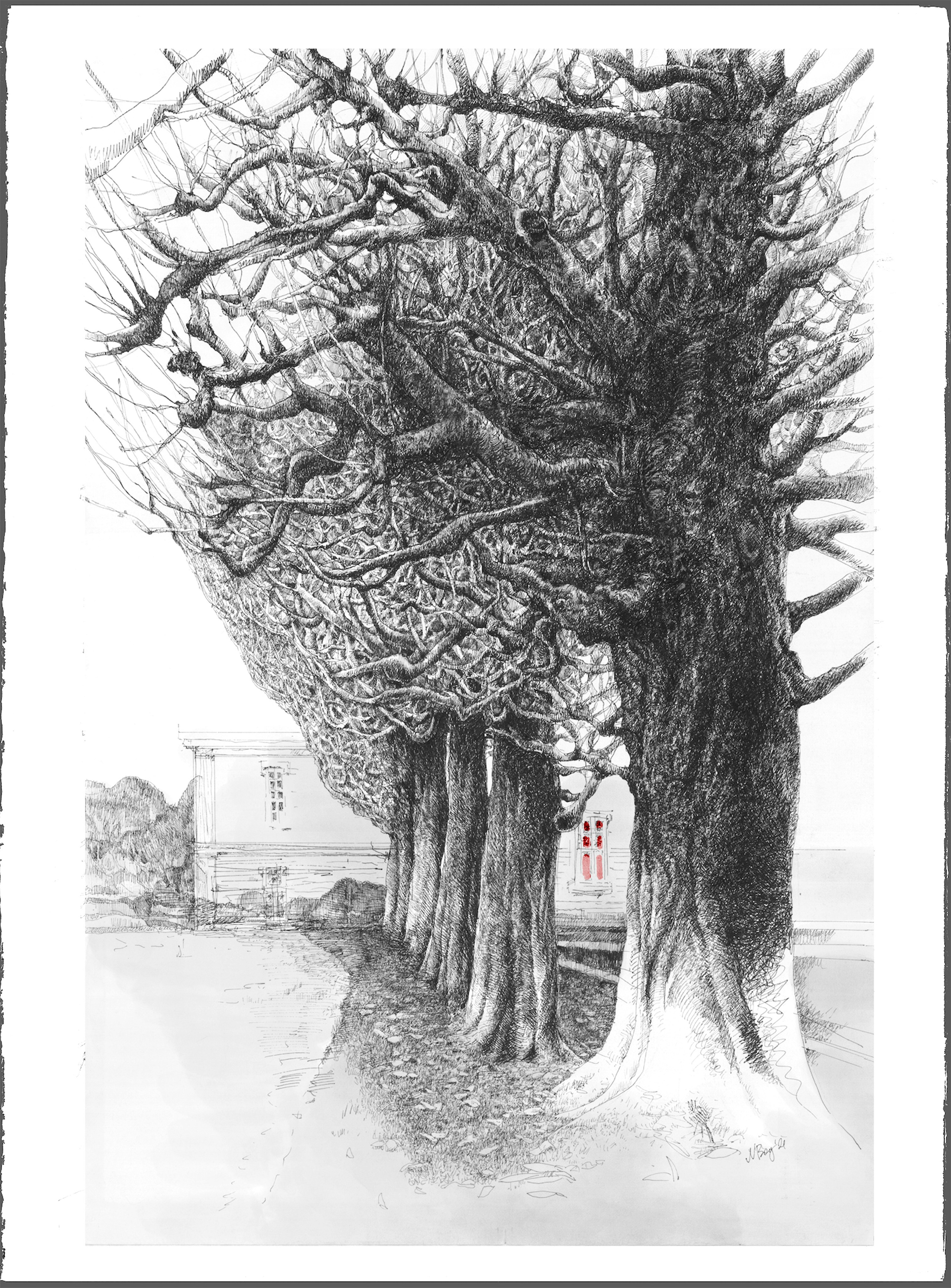 A collection of exquisite graphic drawings for sale, beautifully rendered in Chinese ink and pen on thick cotton watercolor paper. Each piece showcases detailed depictions of ancient trees, capturing their majestic and timeless beauty. Ideal for interior decoration, these artworks are perfect for adding a touch of elegance and serenity to any space.