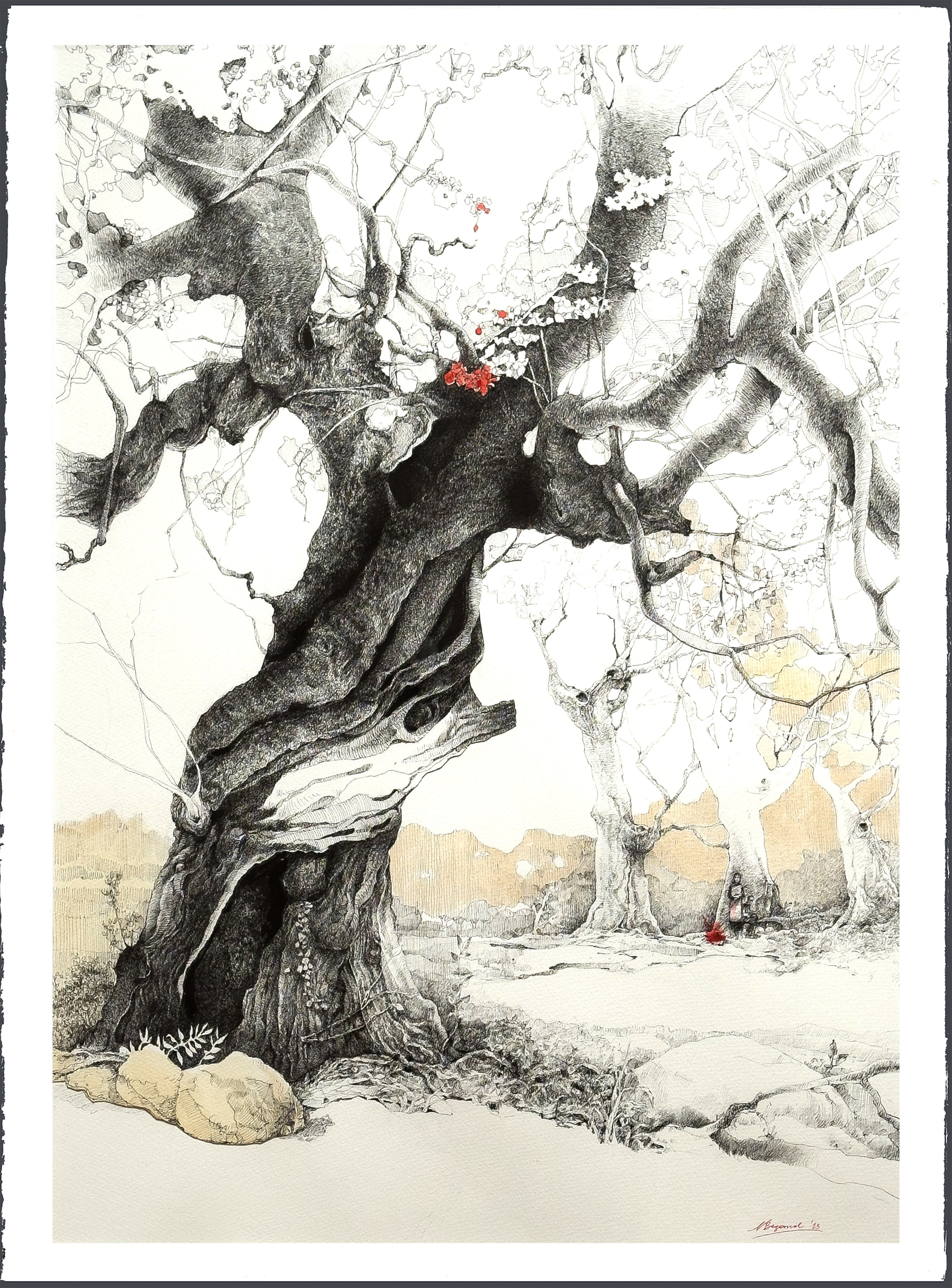 A collection of exquisite graphic drawings for sale, beautifully rendered in Chinese ink and pen on thick cotton watercolor paper. Each piece showcases detailed depictions of ancient trees, capturing their majestic and timeless beauty. Ideal for interior decoration, these artworks are perfect for adding a touch of elegance and serenity to any space.