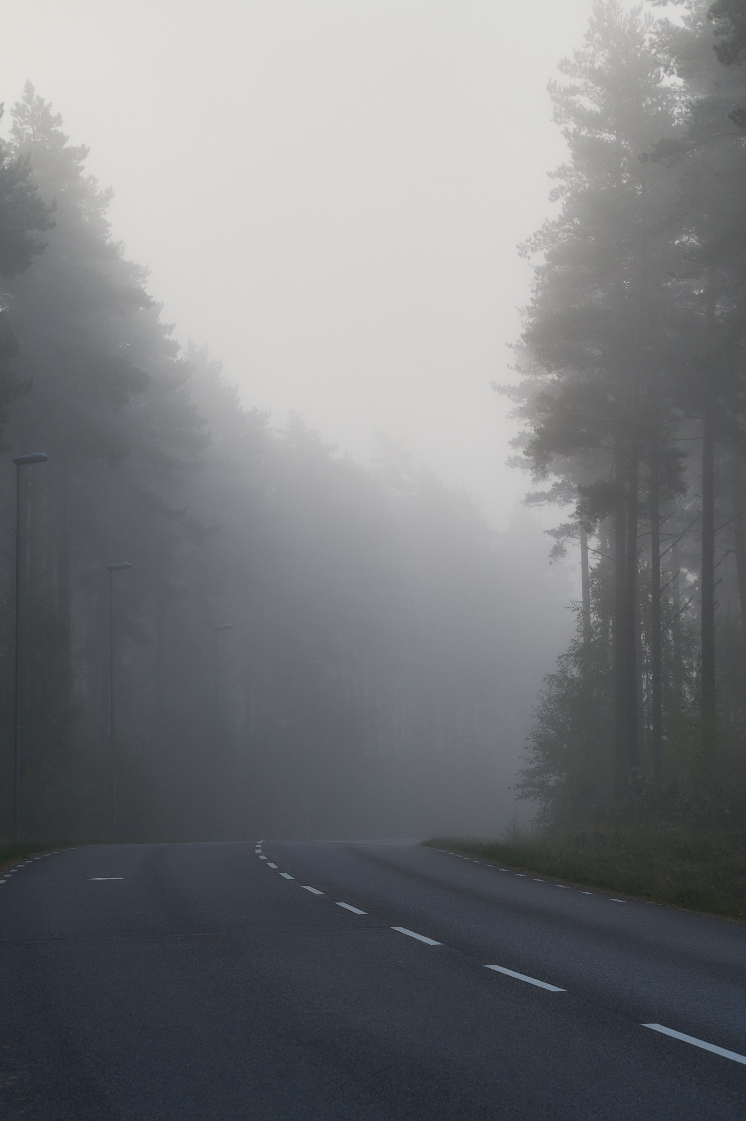 My favourite photos, class of 2024. Yuri Popkov | Photographer