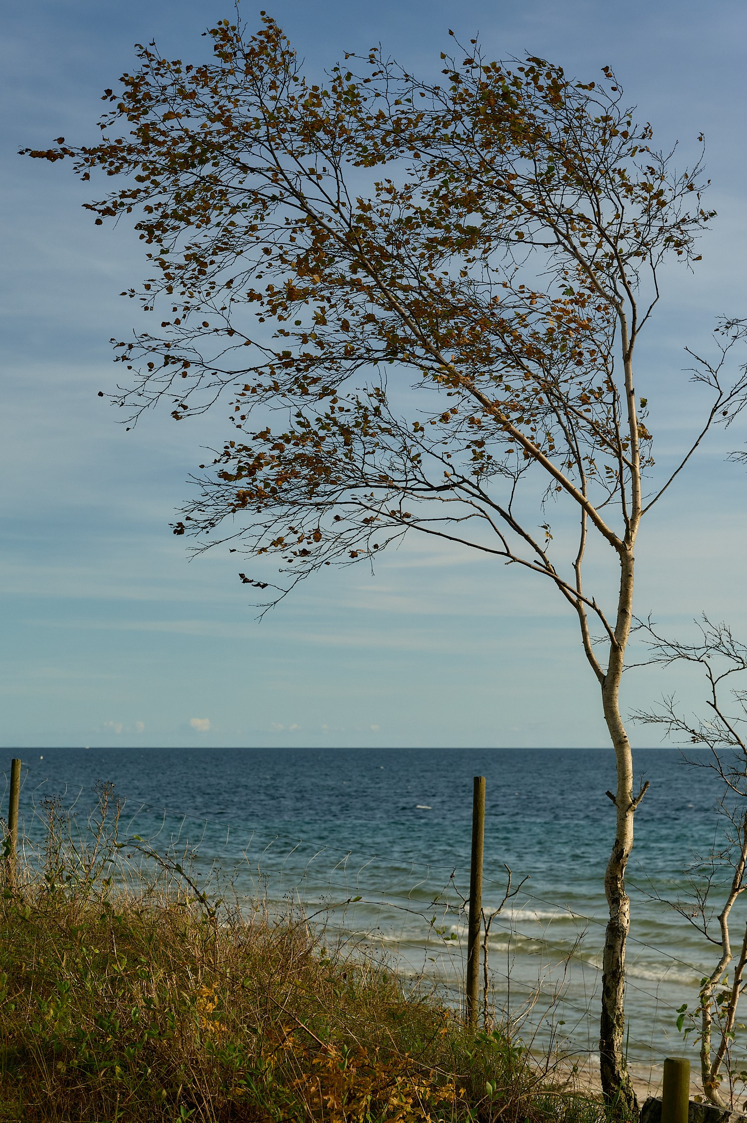 My favourite photos, class of 2024. Yuri Popkov | Photographer