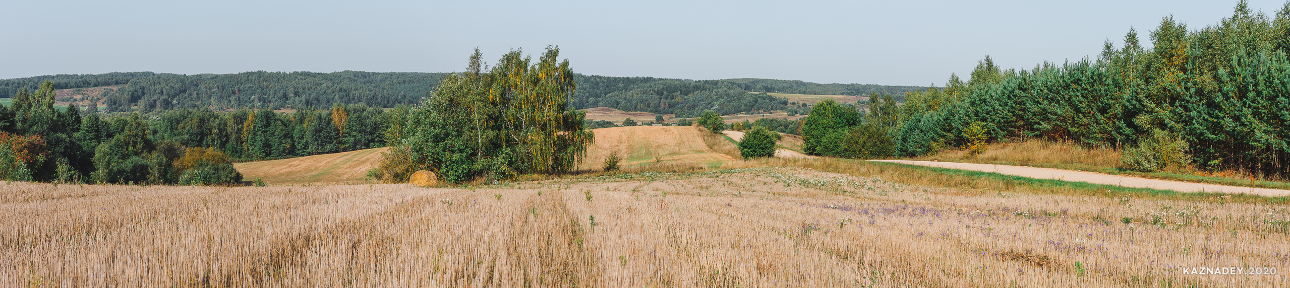 Дорога тишины, Алексей Казнадей, kaznadey