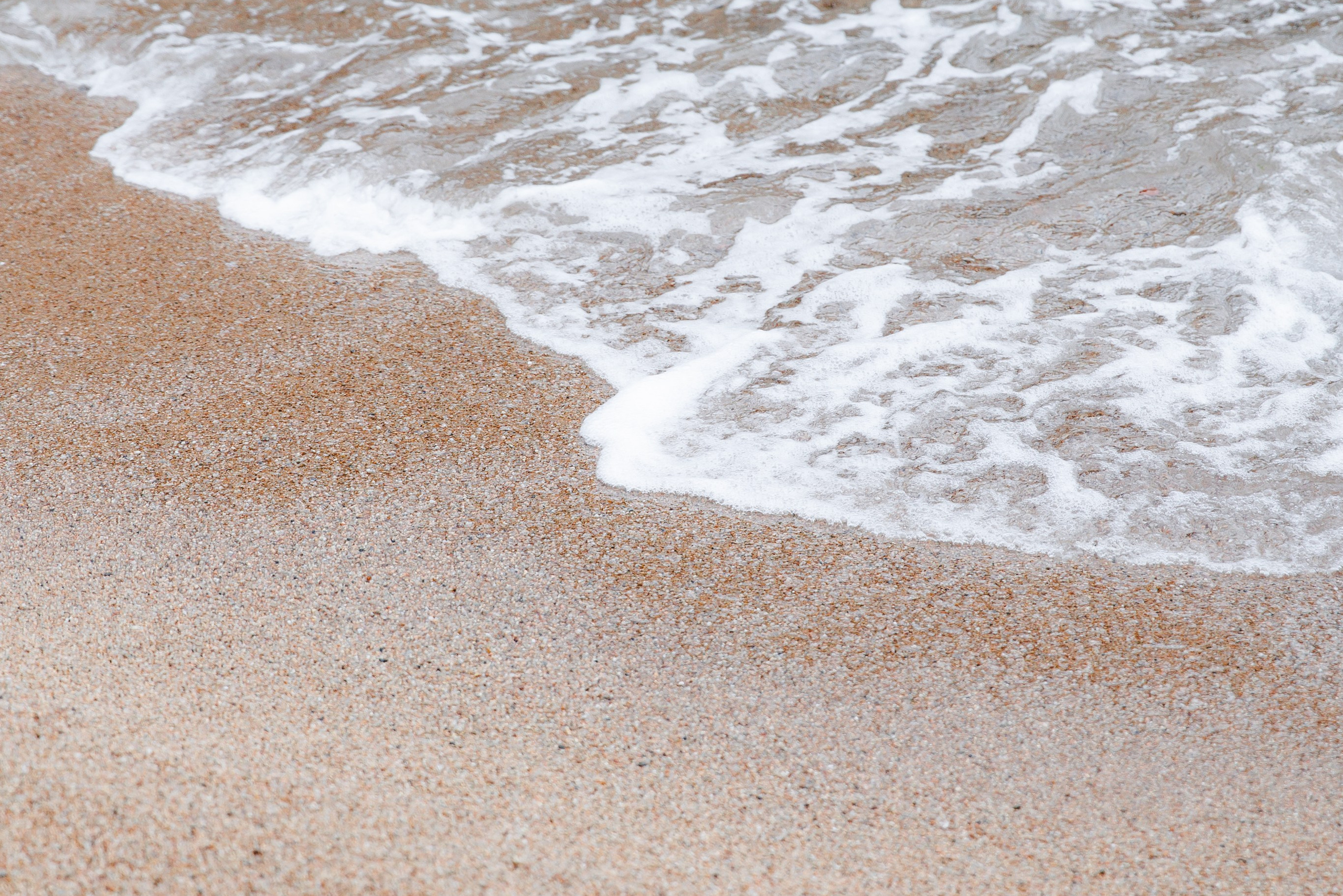 Dreamy Elopement in Marimurtra Botanical Garden. Wedding Photographer in Barcelona Lana Alekhina