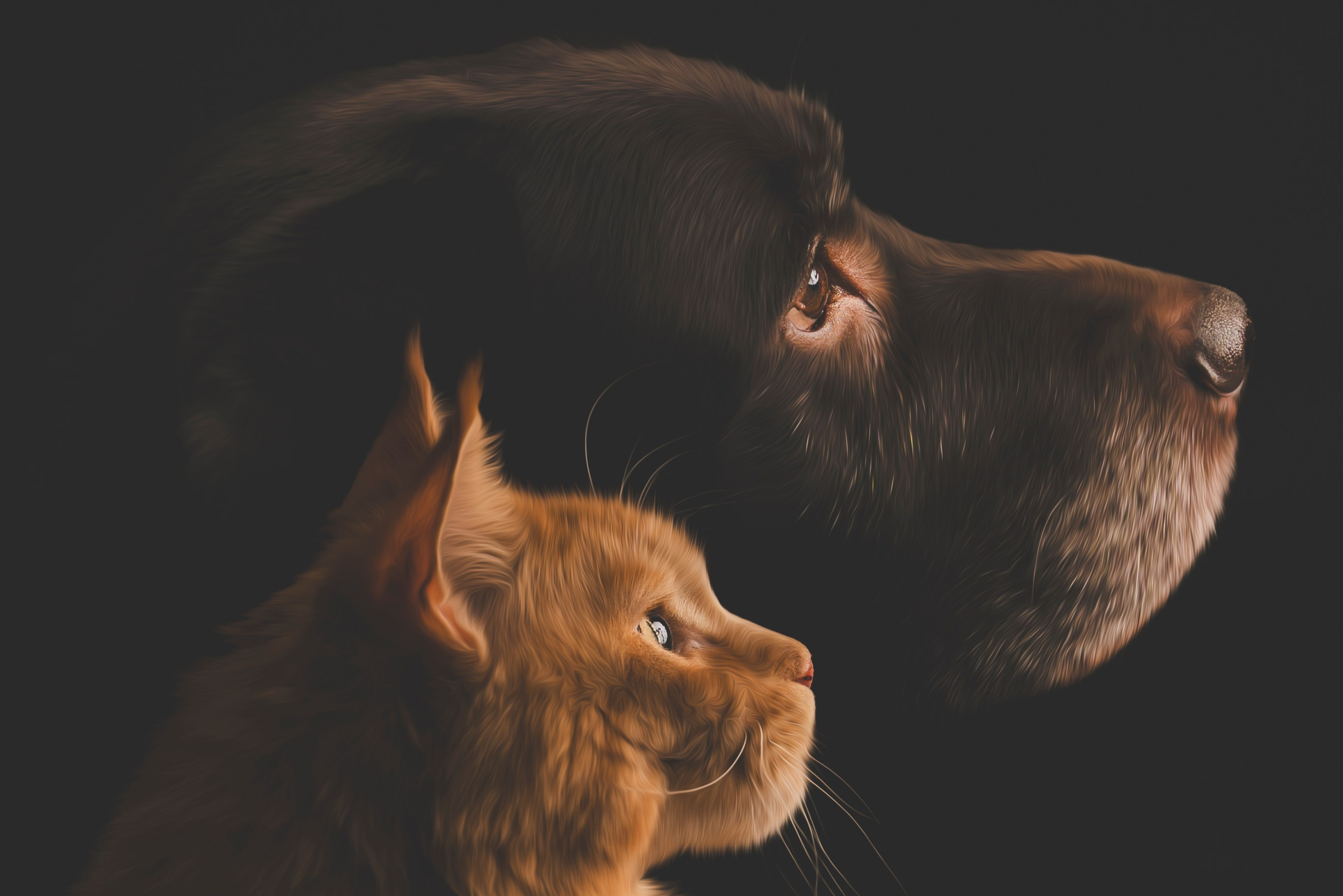 Palvelut ja hinnasto. Senjakulmala.fi