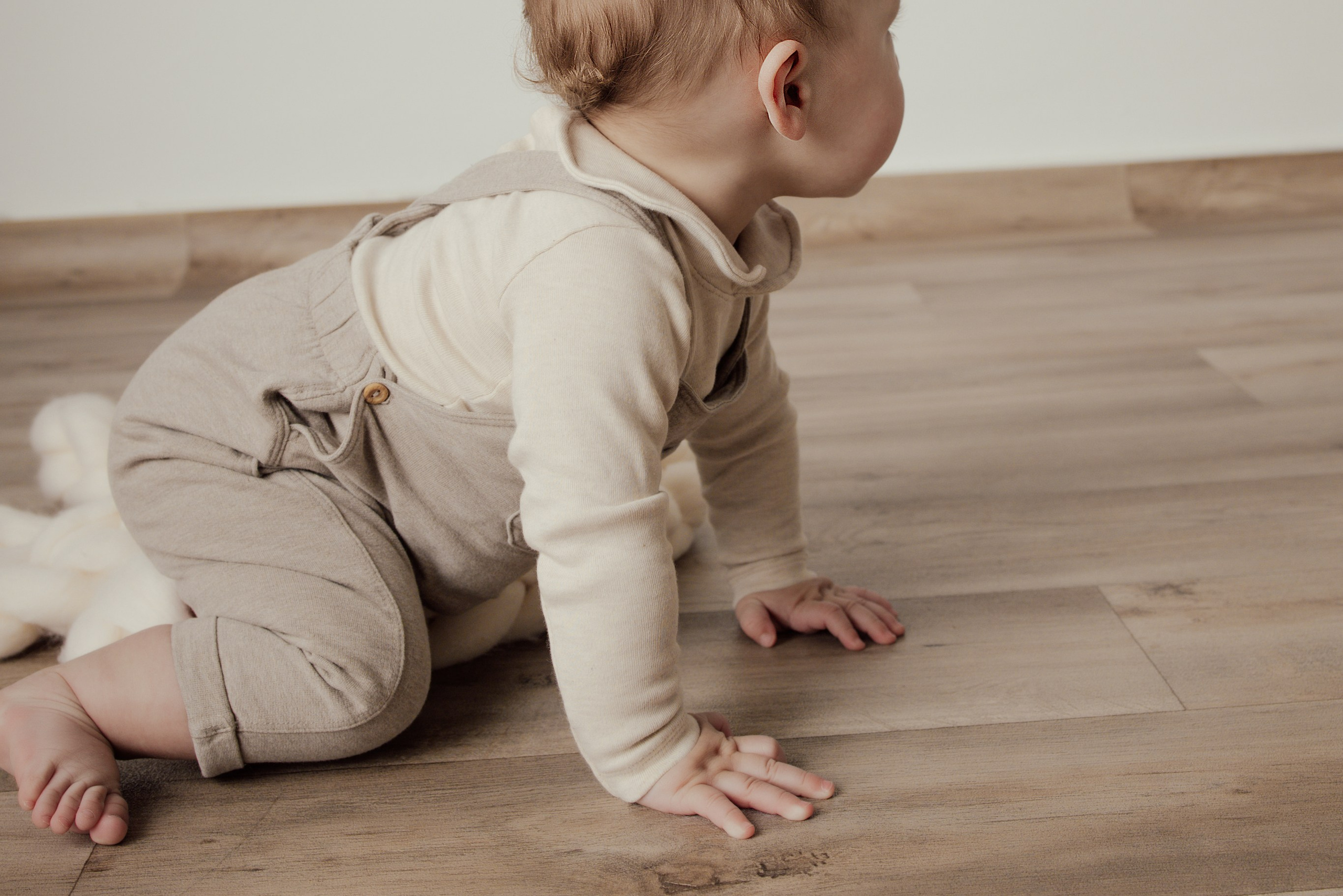 Sesiones de Seguimiento