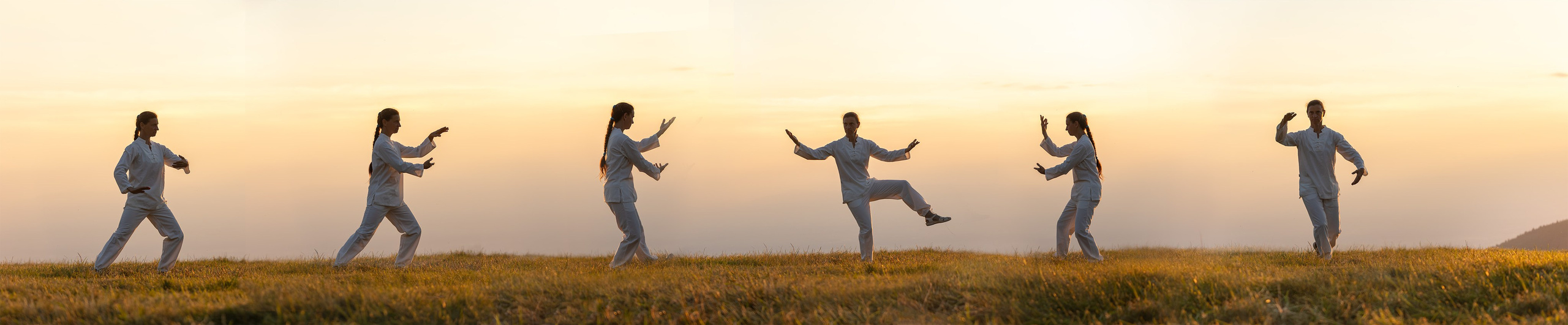 Business Porträts. Fotograf in Freiburg, Meerim Kaufmann