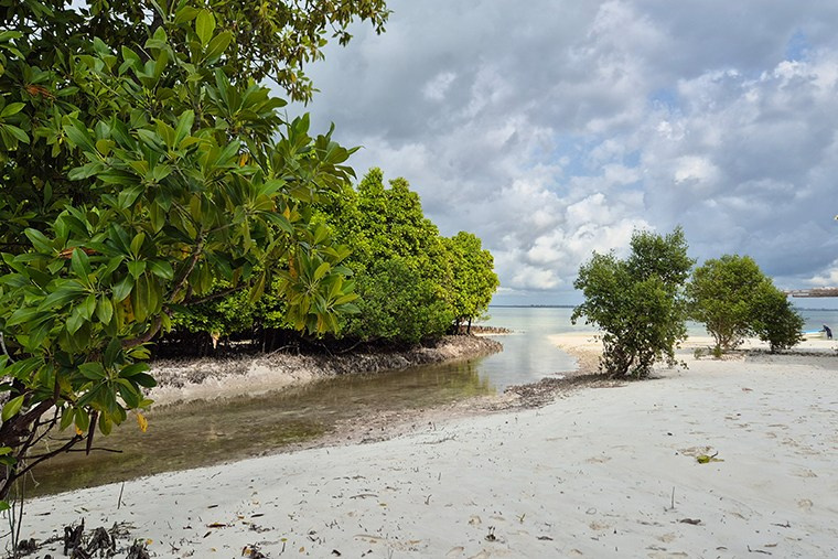Занзибар. Elina Reisen. Туристическое агентство в Аугсбурге