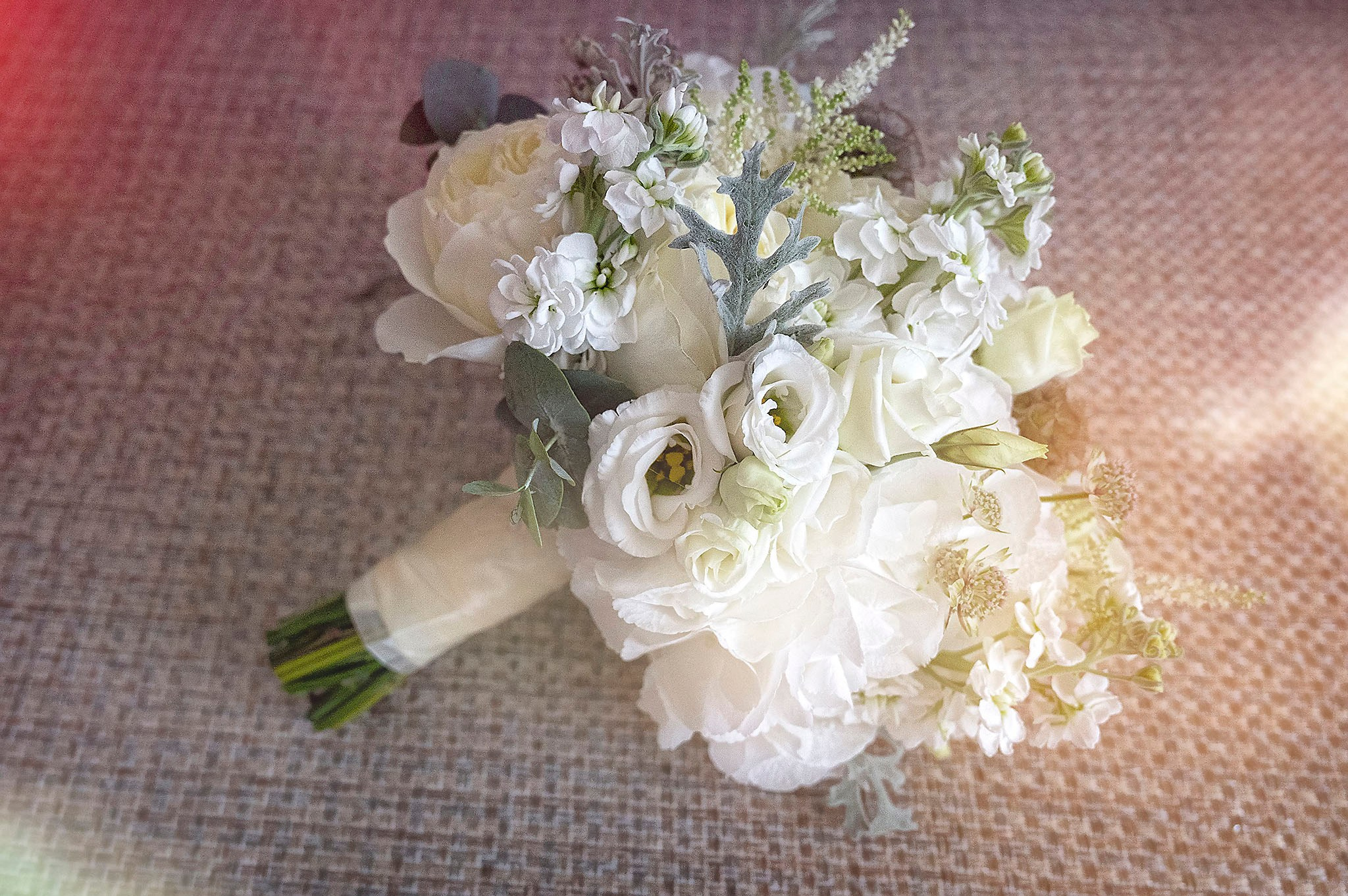 Fotograf Nunta Craiova