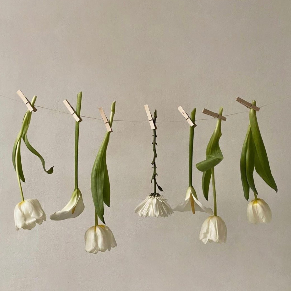 Boutique. Photographe professionnelle de la ville d’Auxerre - Ekaterina Mathieu