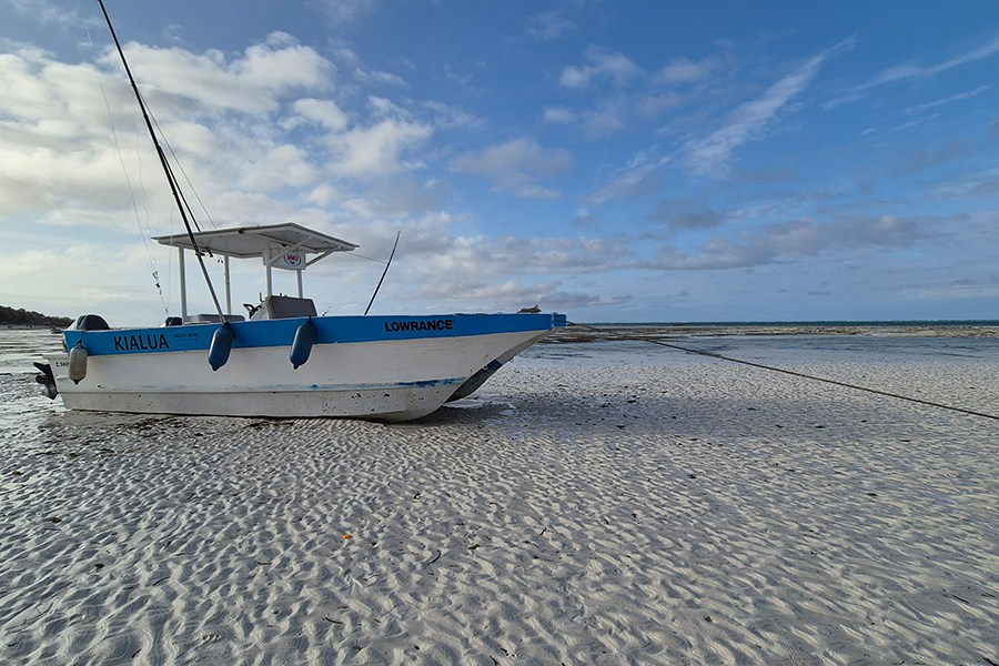 Занзибар. Elina Reisen. Туристическое агентство в Аугсбурге