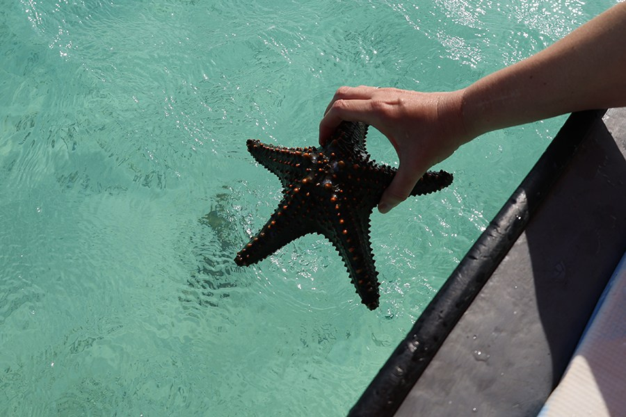 Занзибар. Elina Reisen. Туристическое агентство в Аугсбурге