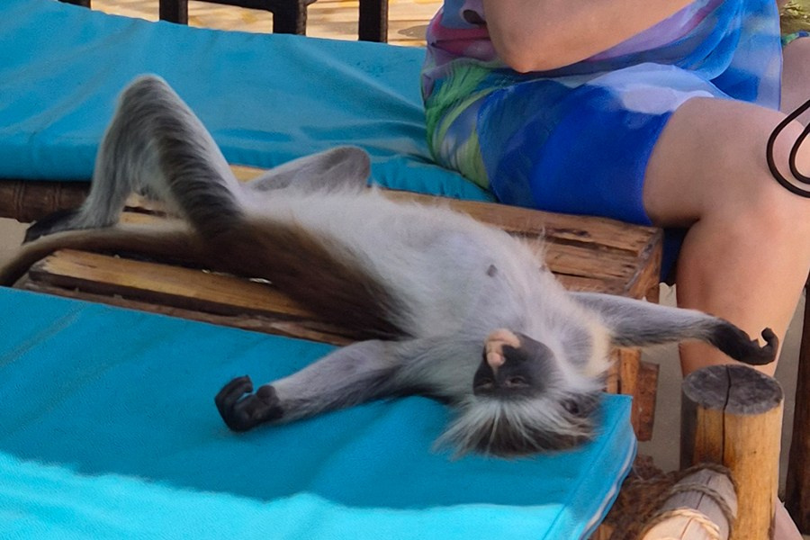 Занзибар. Elina Reisen. Туристическое агентство в Аугсбурге