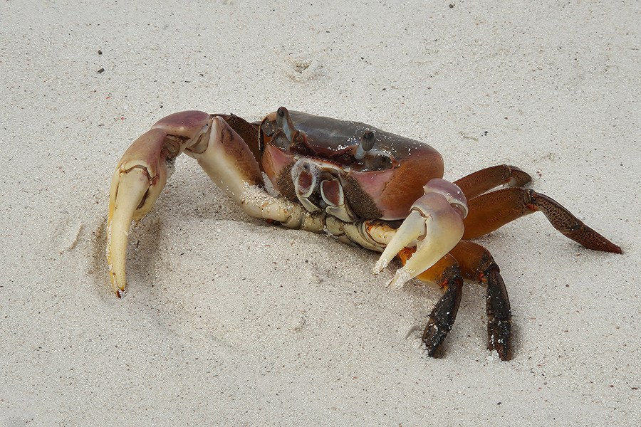 Занзибар. Elina Reisen. Туристическое агентство в Аугсбурге