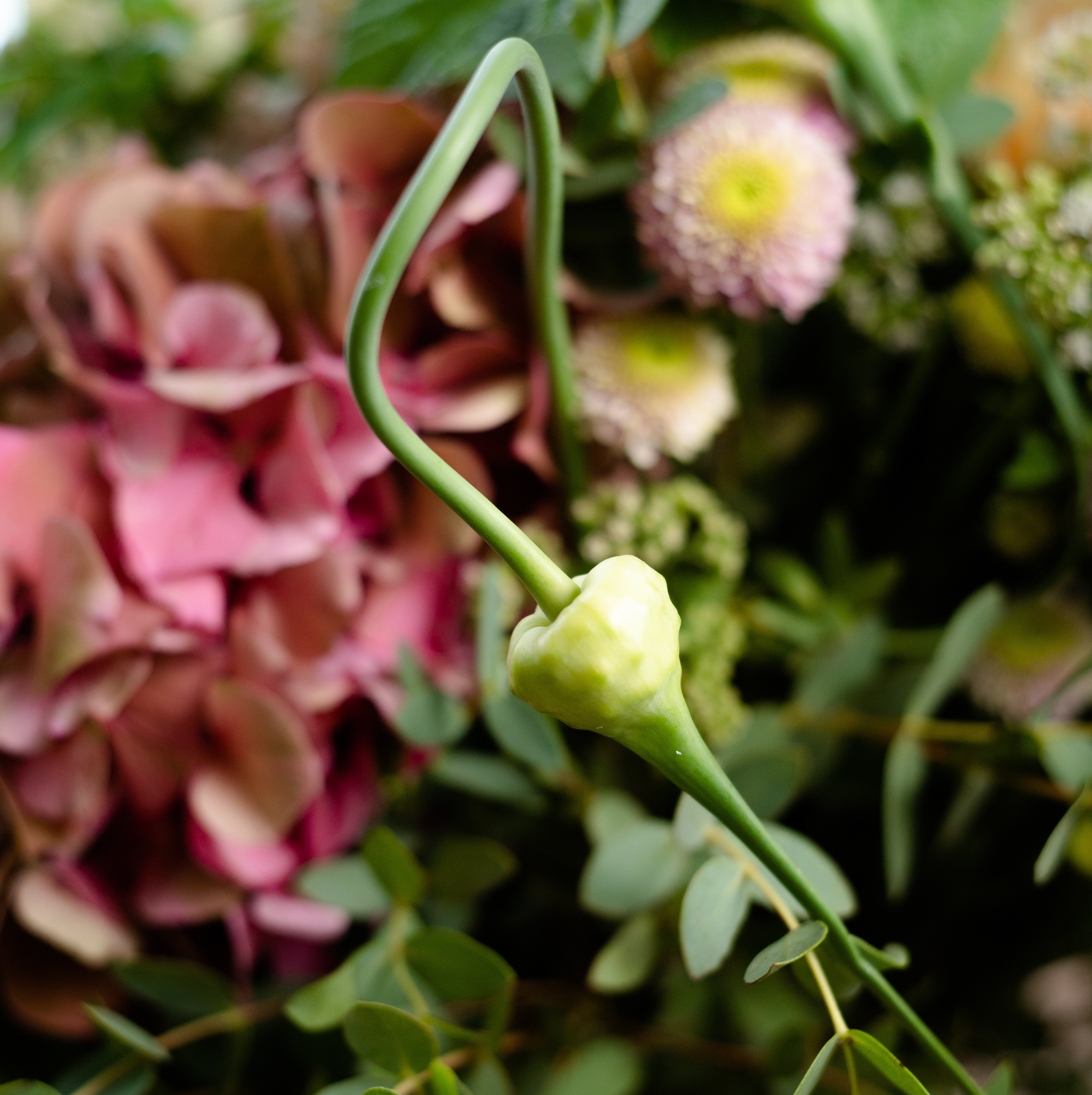 Tematska fotografija: keramika, floristika. Photographer Mariia Bortiakova