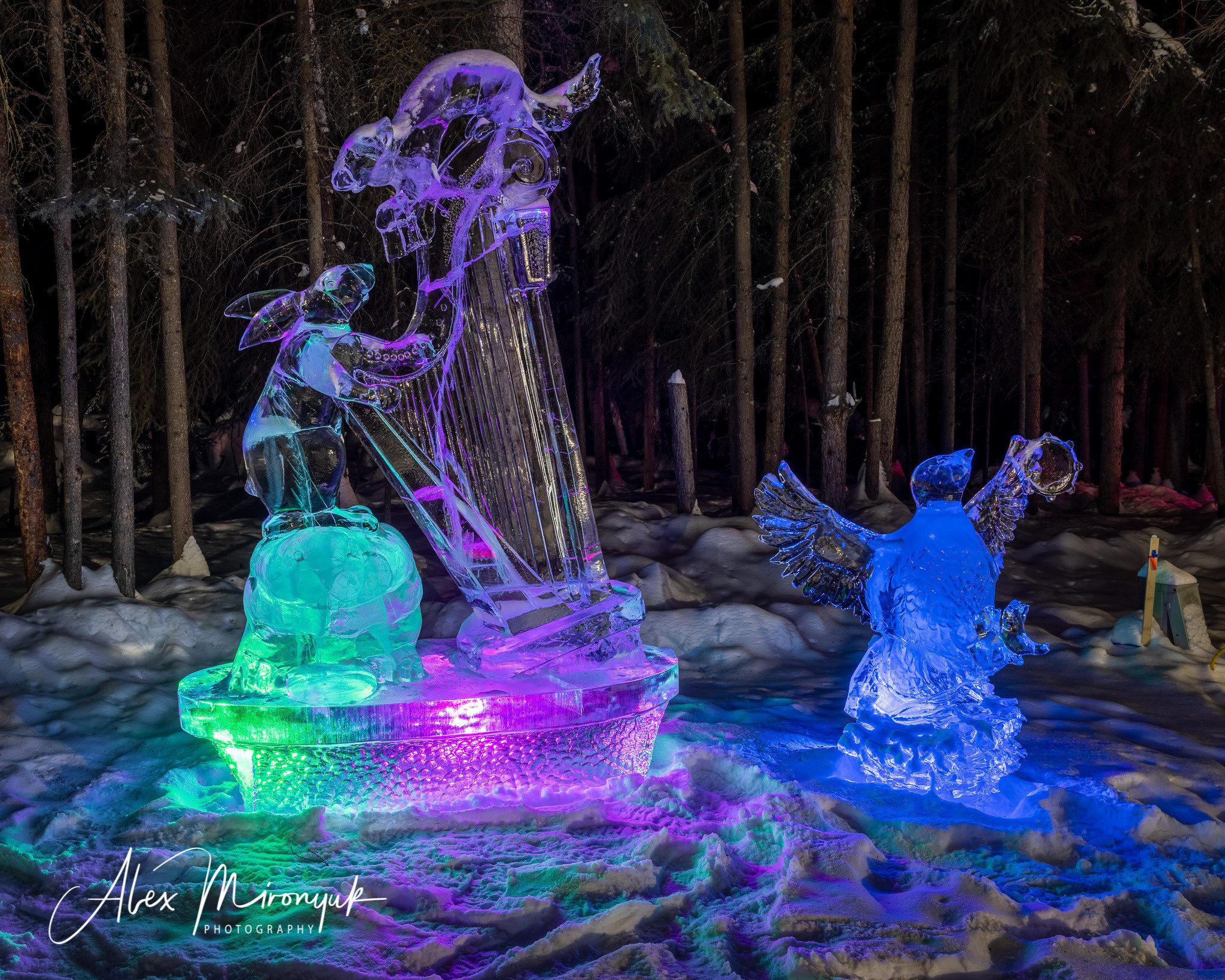 Chasing the Aurora Borealis. Alex Mironyuk Photography