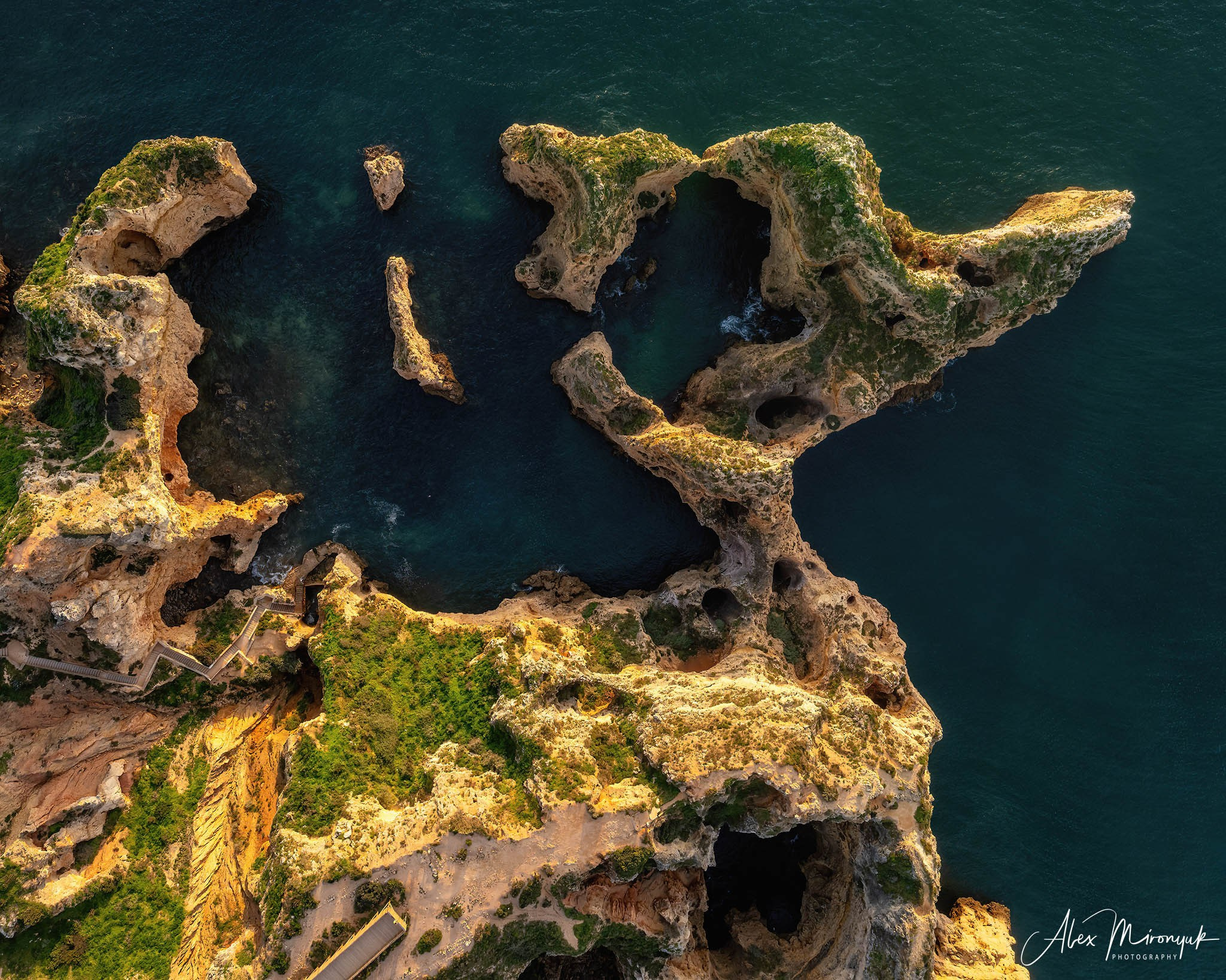 Portugal’s Scenic Treasures. Pet, Senior, Landscape, portrait studio, photographer in Miami and Sou