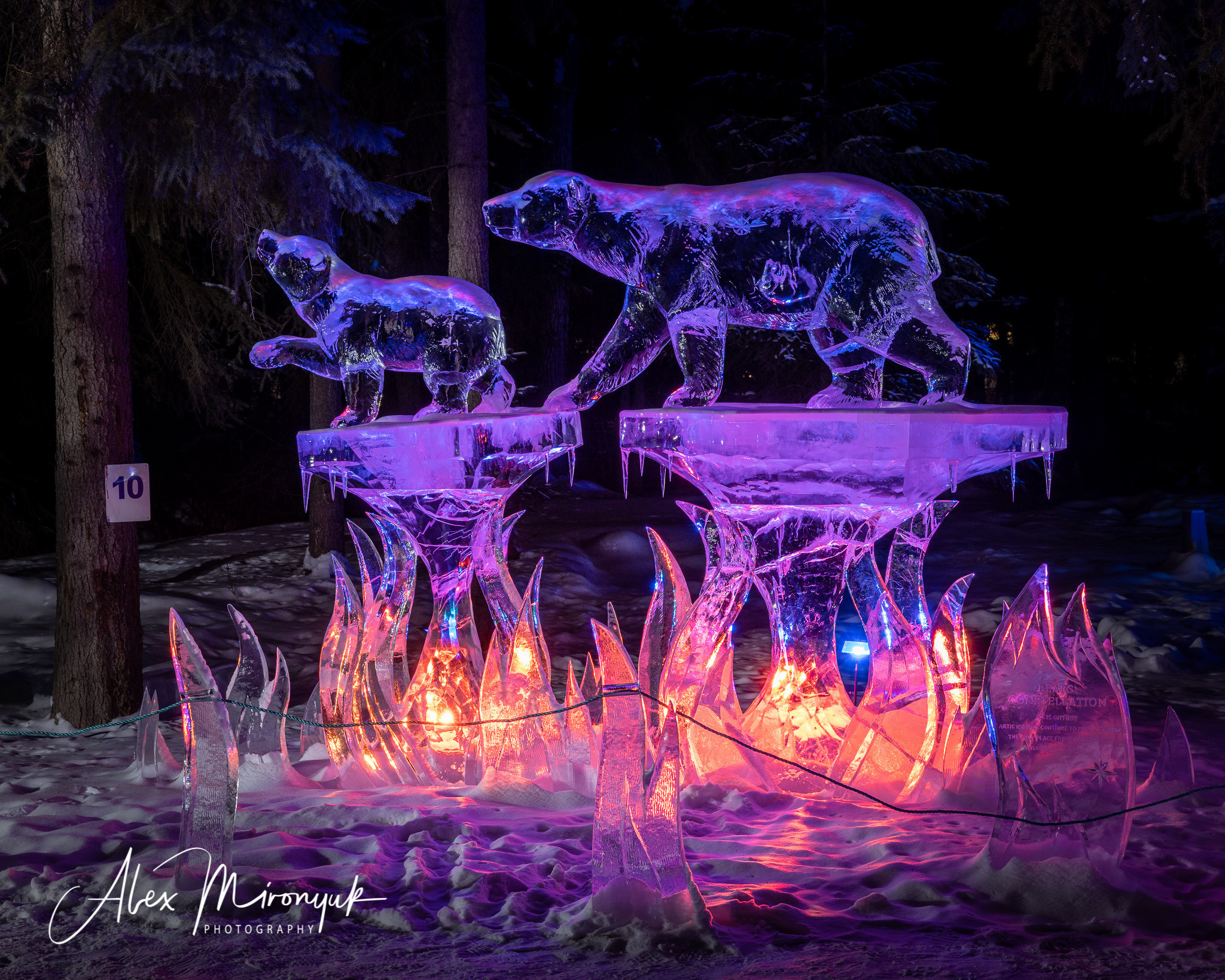 Chasing the Aurora Borealis. Alex Mironyuk Photography
