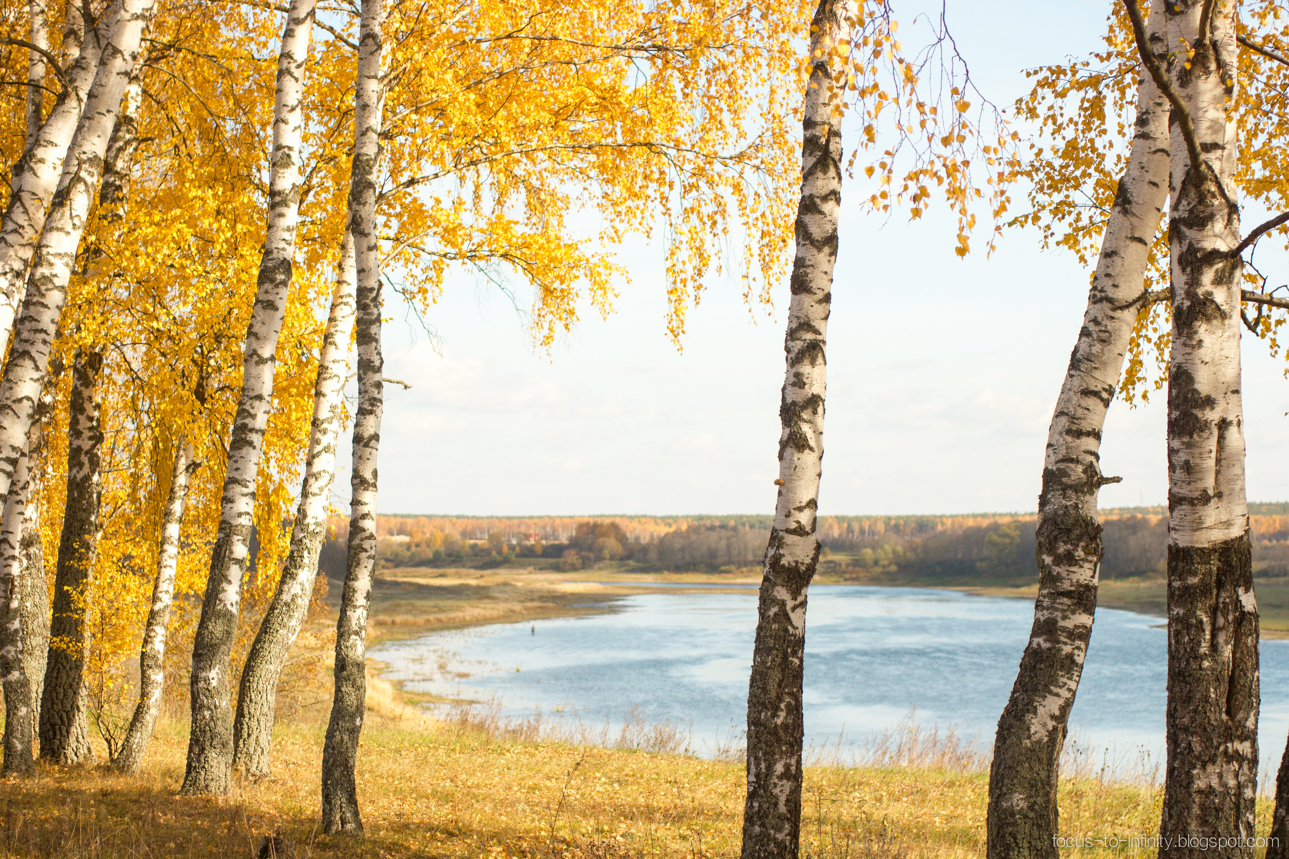 Goldener Herbst am Ufer der Wolga. Maria Chistyakovа — Fotografin in Karlsruhe, Baden-Baden und Umgebung