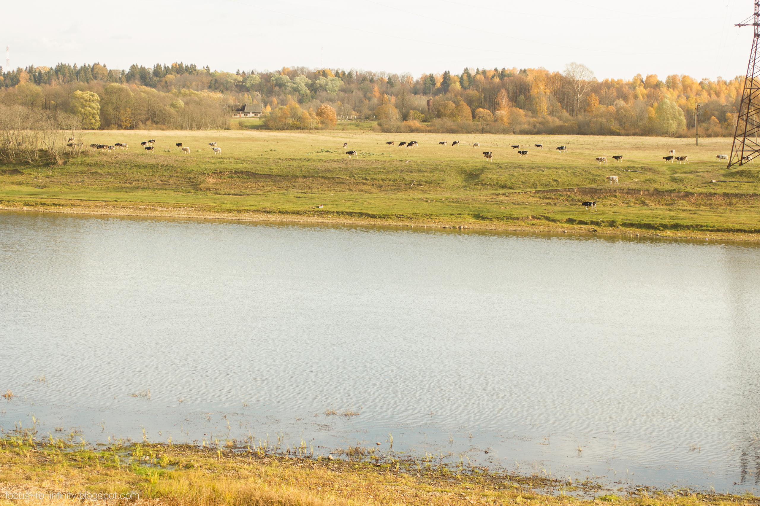 Goldener Herbst am Ufer der Wolga. Maria Chistyakovа — Fotografin in Karlsruhe, Baden-Baden und Umgebung