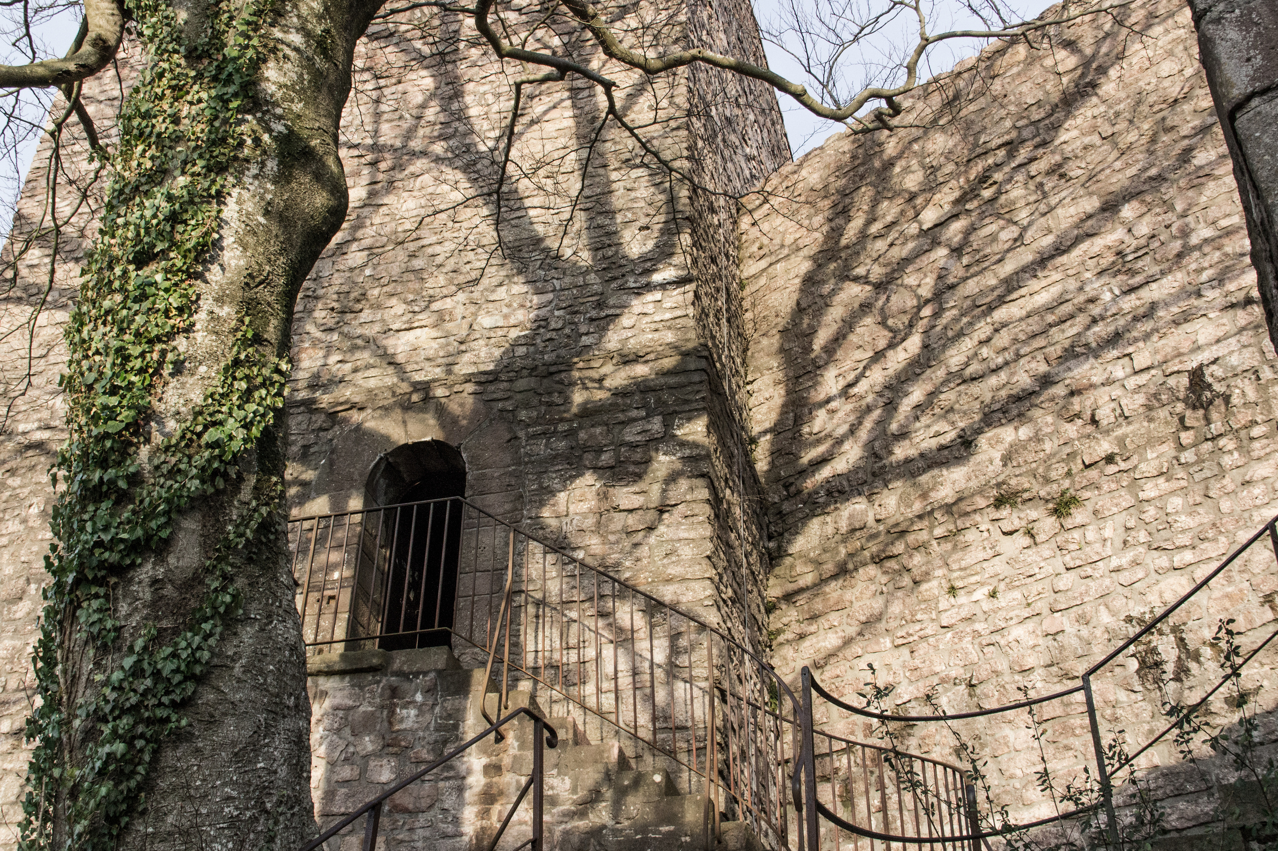 Altes Schloss Hohenbaden. Maria Chistyakovа — Fotografin in Karlsruhe, Baden-Baden und Umgebung