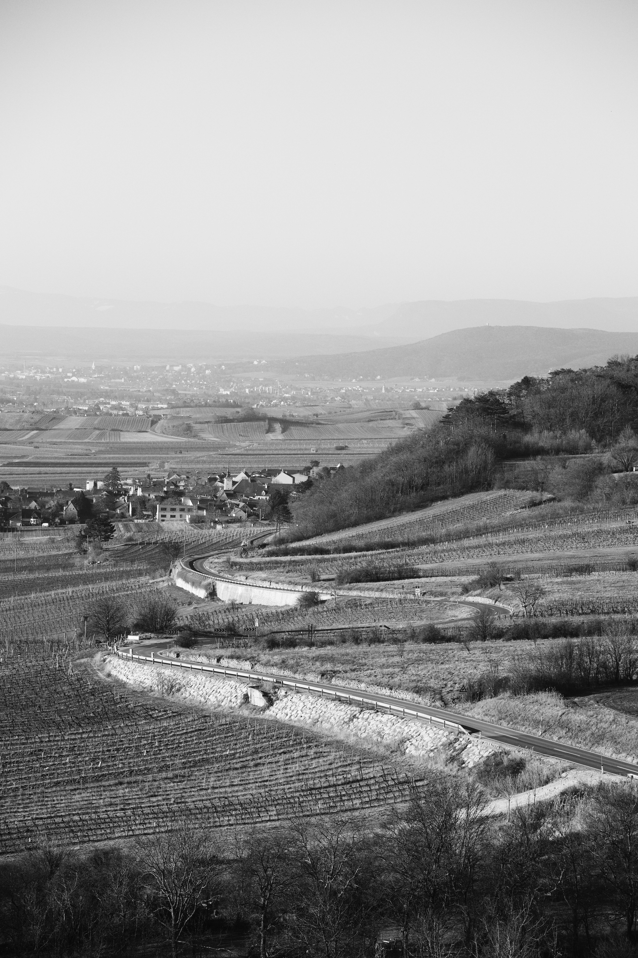 Извилистая дорога среди виноградников в районе Гумпольдскирхен, Нижняя Австрия, Австрия. Пейзажная фотография Юрия Меркулова. Для оформления интерьера. Возможна печать на большом формате.