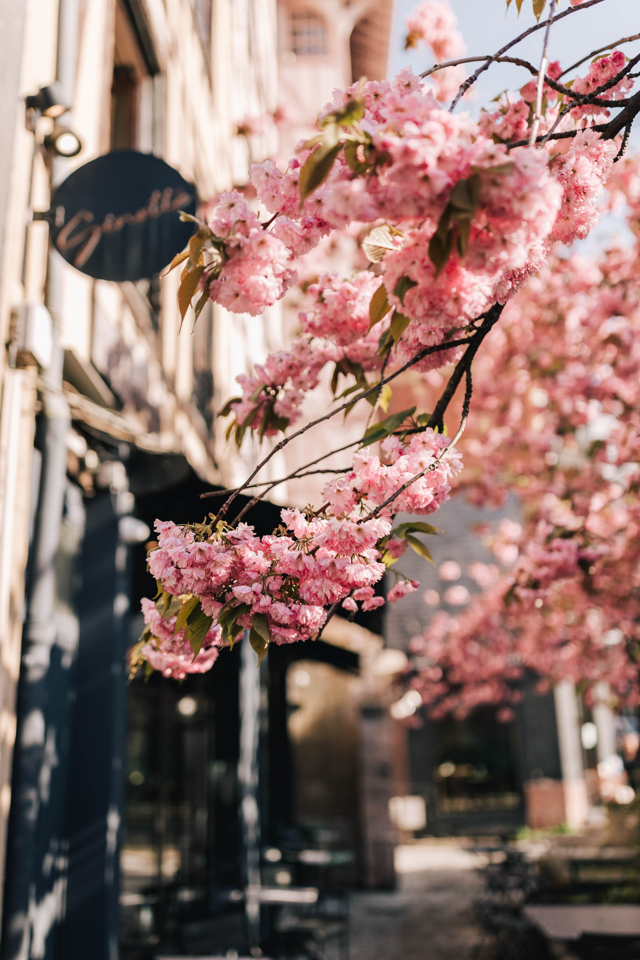 Photographe à Rouen, France