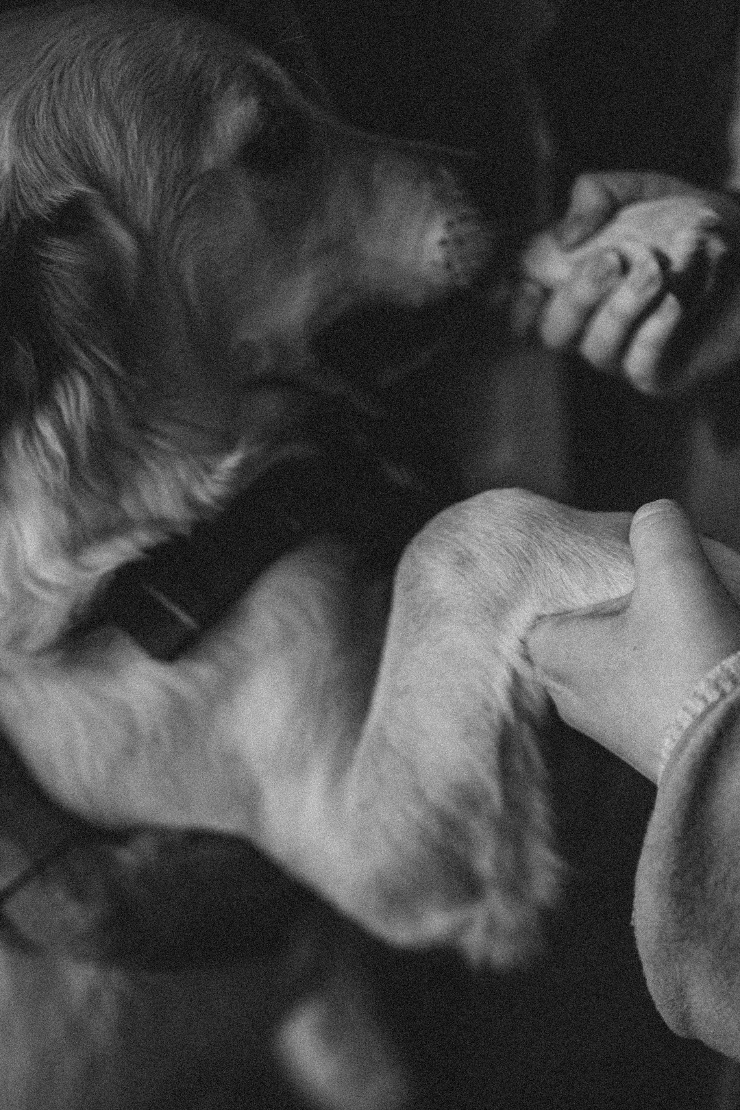 Tarifs. Photographe à Rouen, France