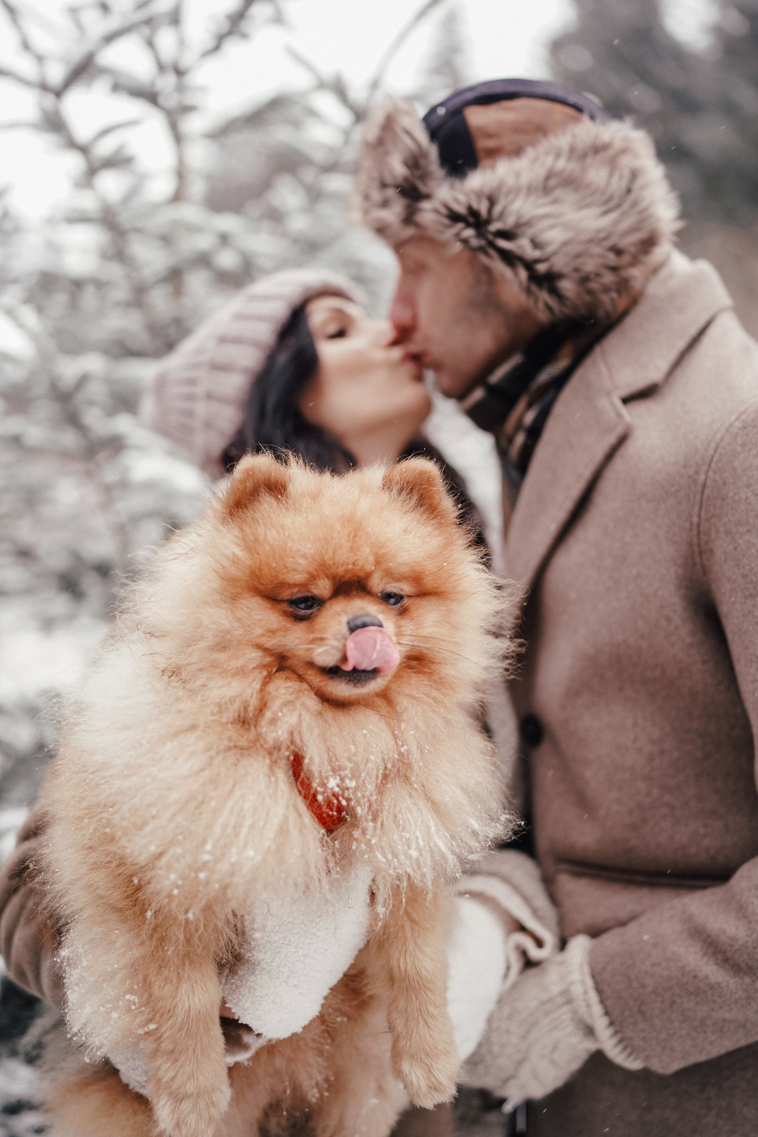 Love Story, Wedding photographer Trier, Luxembourg 