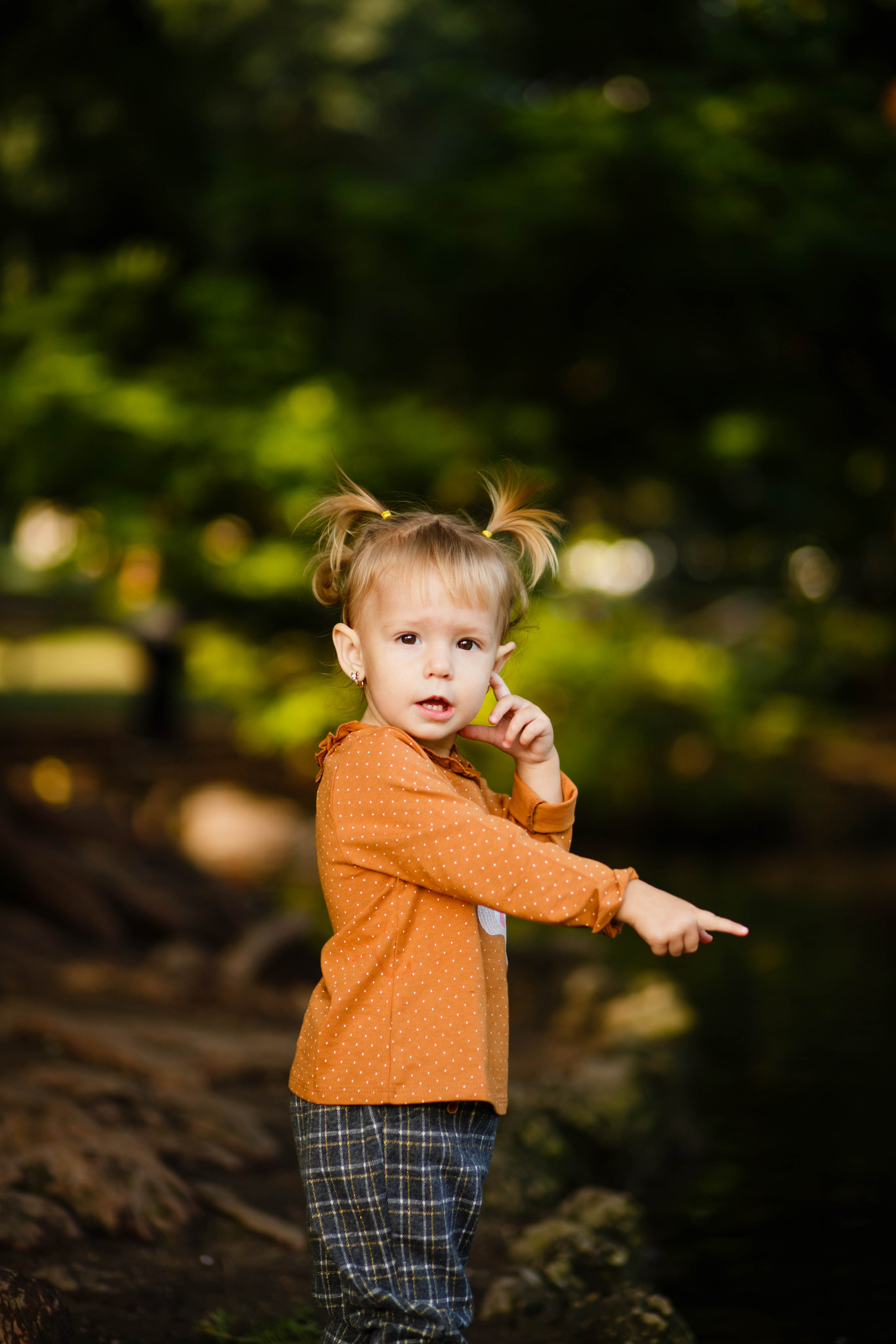 Фотограф в Чернівцях, Фотограф Чернівці
