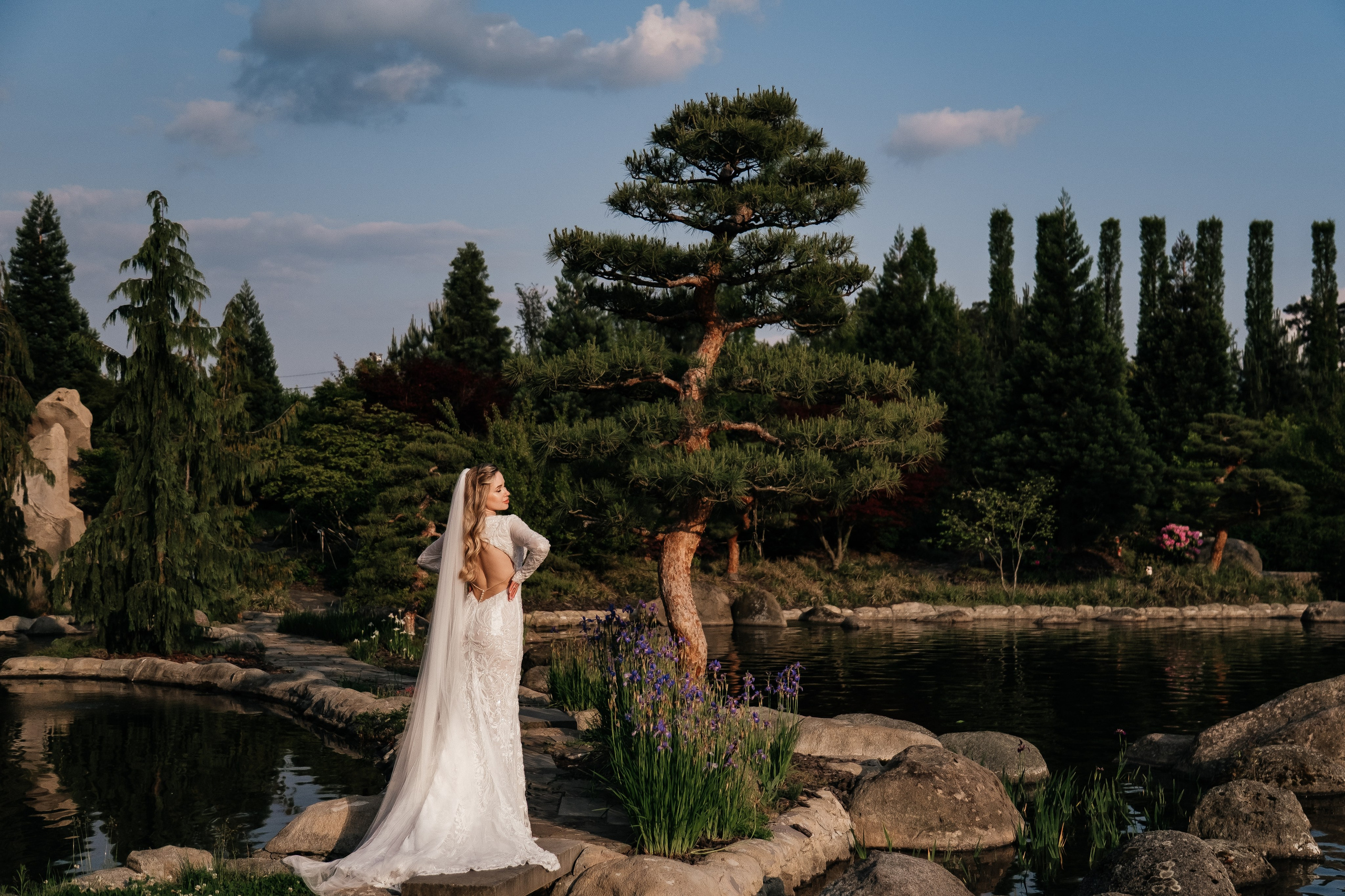 Wedding price 2025. Плотиця Олександр. Весільний та сімейний фотограф