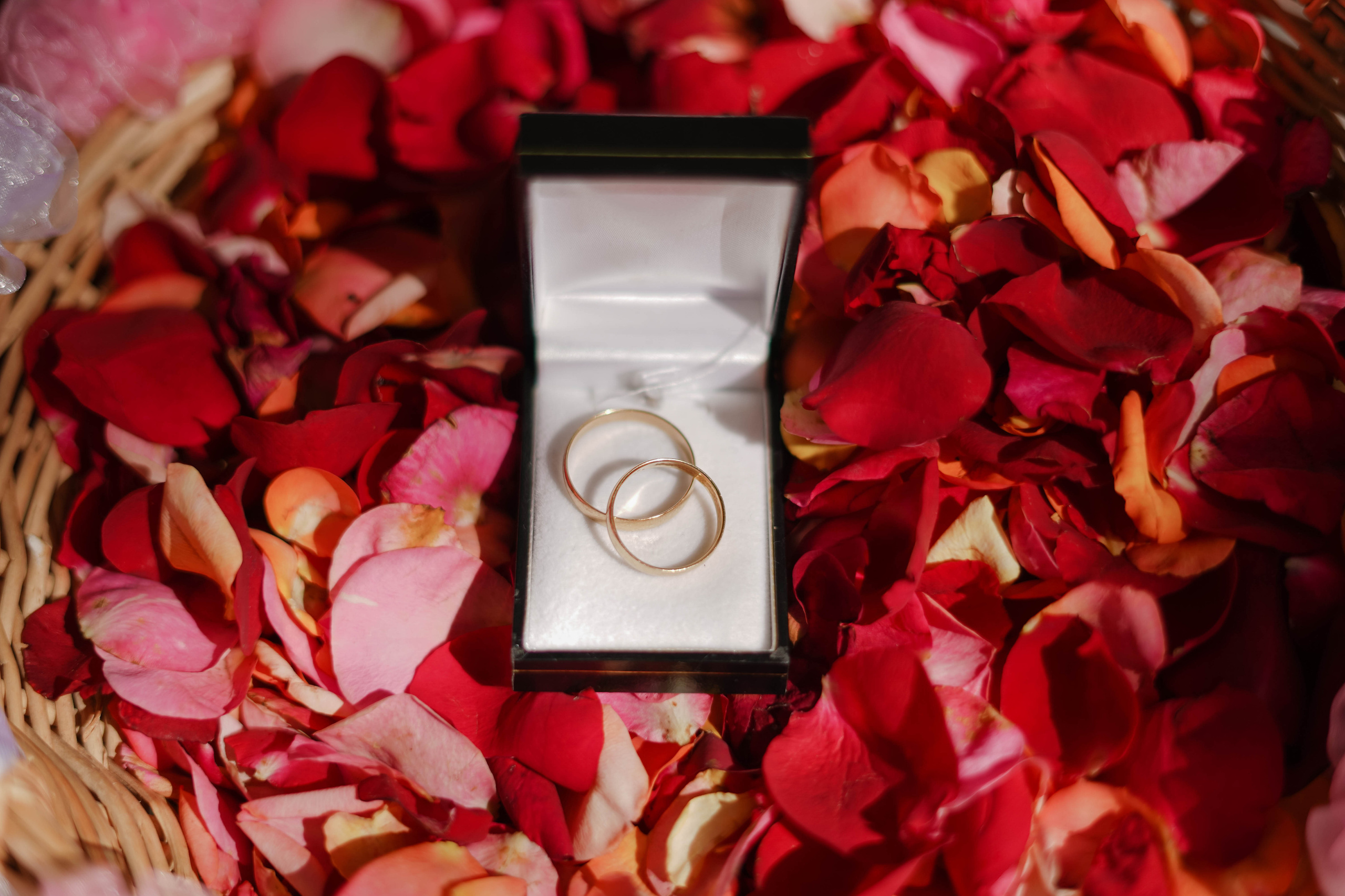 Индивидуальный, семейный, свадебный фотограф Бенидорм Диана Меметова