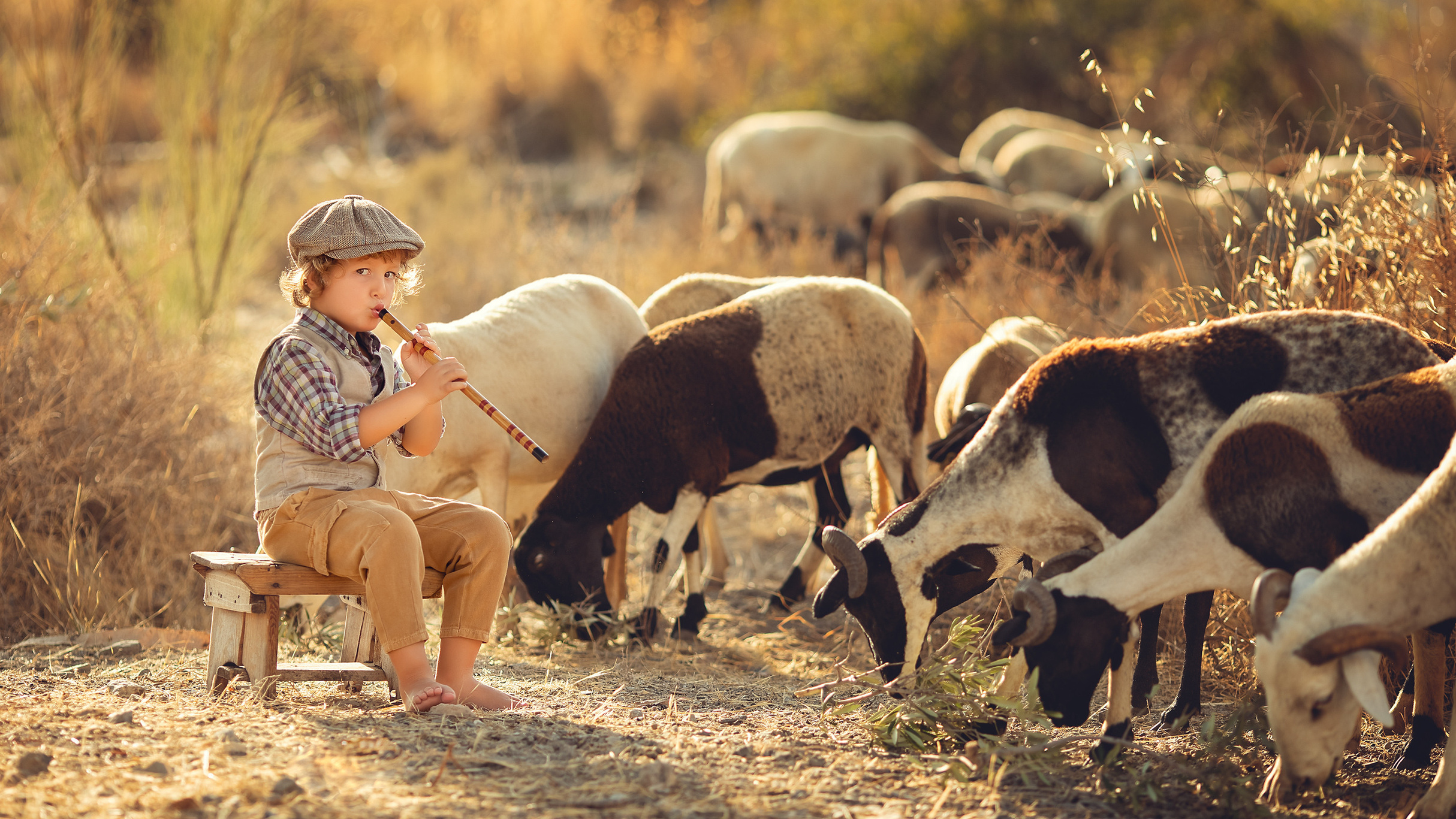 Precios de servicios. Fotógrafo Almeria. Swetlana Ushakova